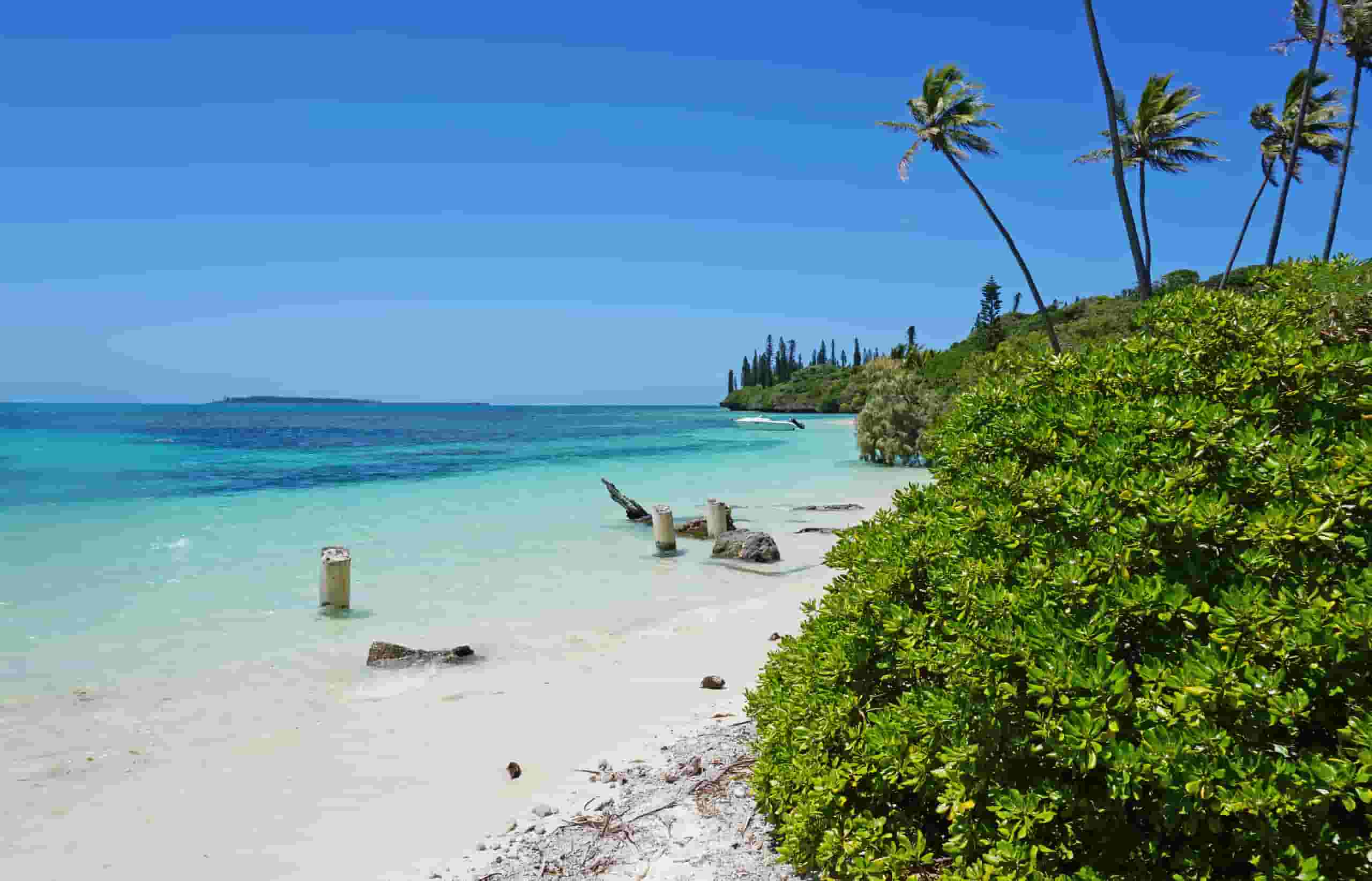 Trova voli economici to Isle of Pines