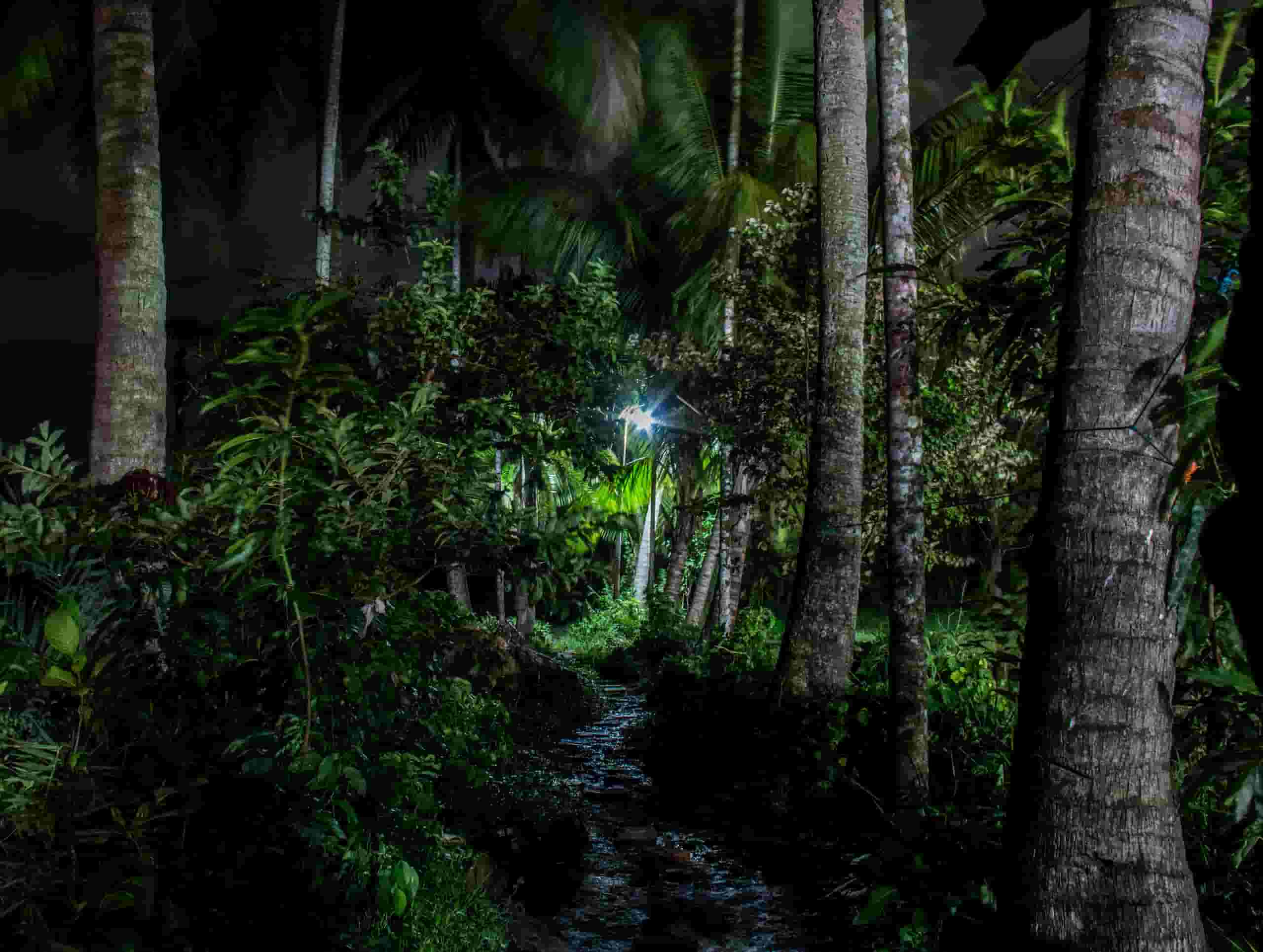 Etsi halpoja lentoja Jessoreen