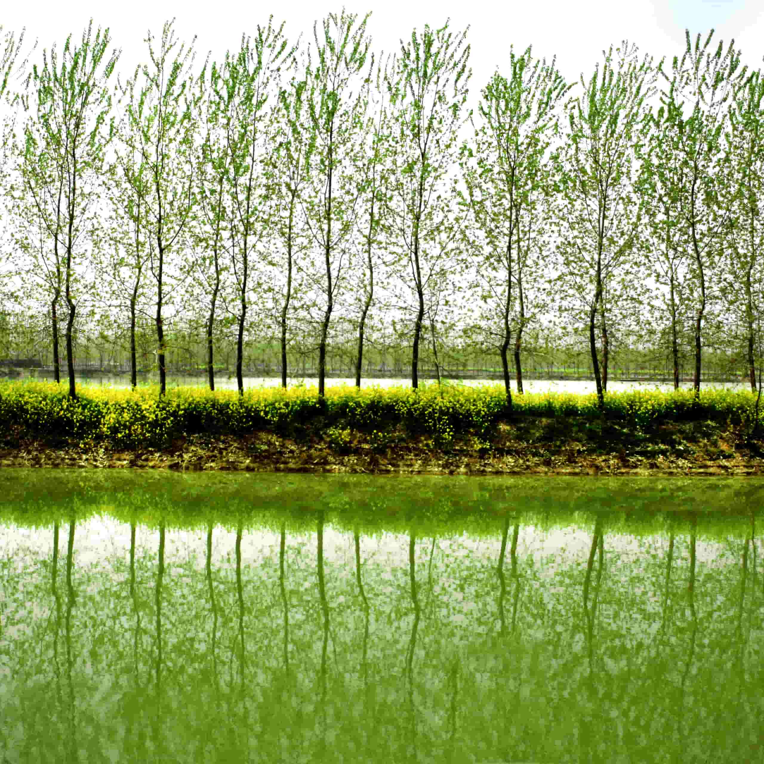 Location de voiture pas chère à Jining, Chine