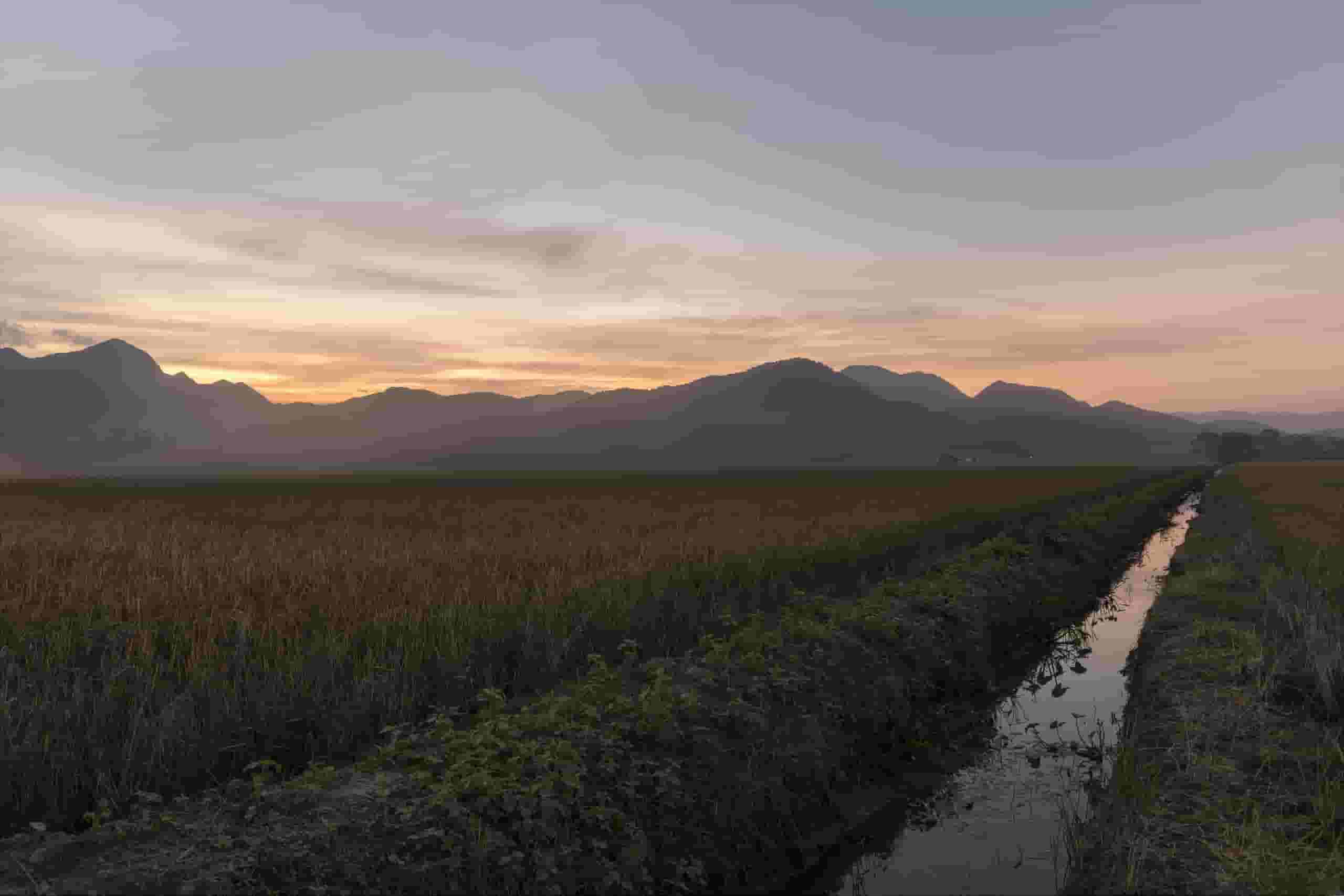 Find billige flybilletter to Joinville