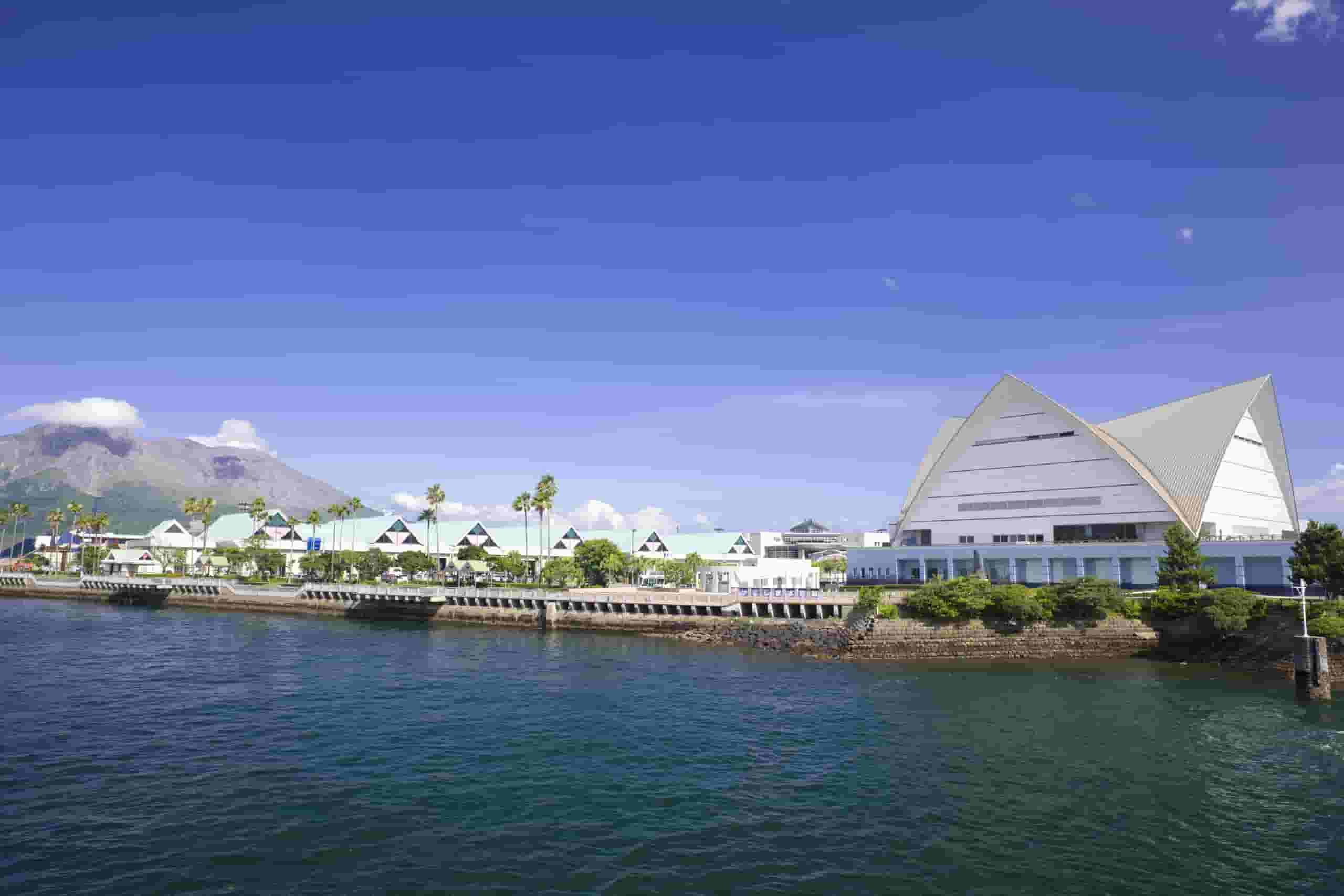 Знайти дешеві рейси to Kagoshima