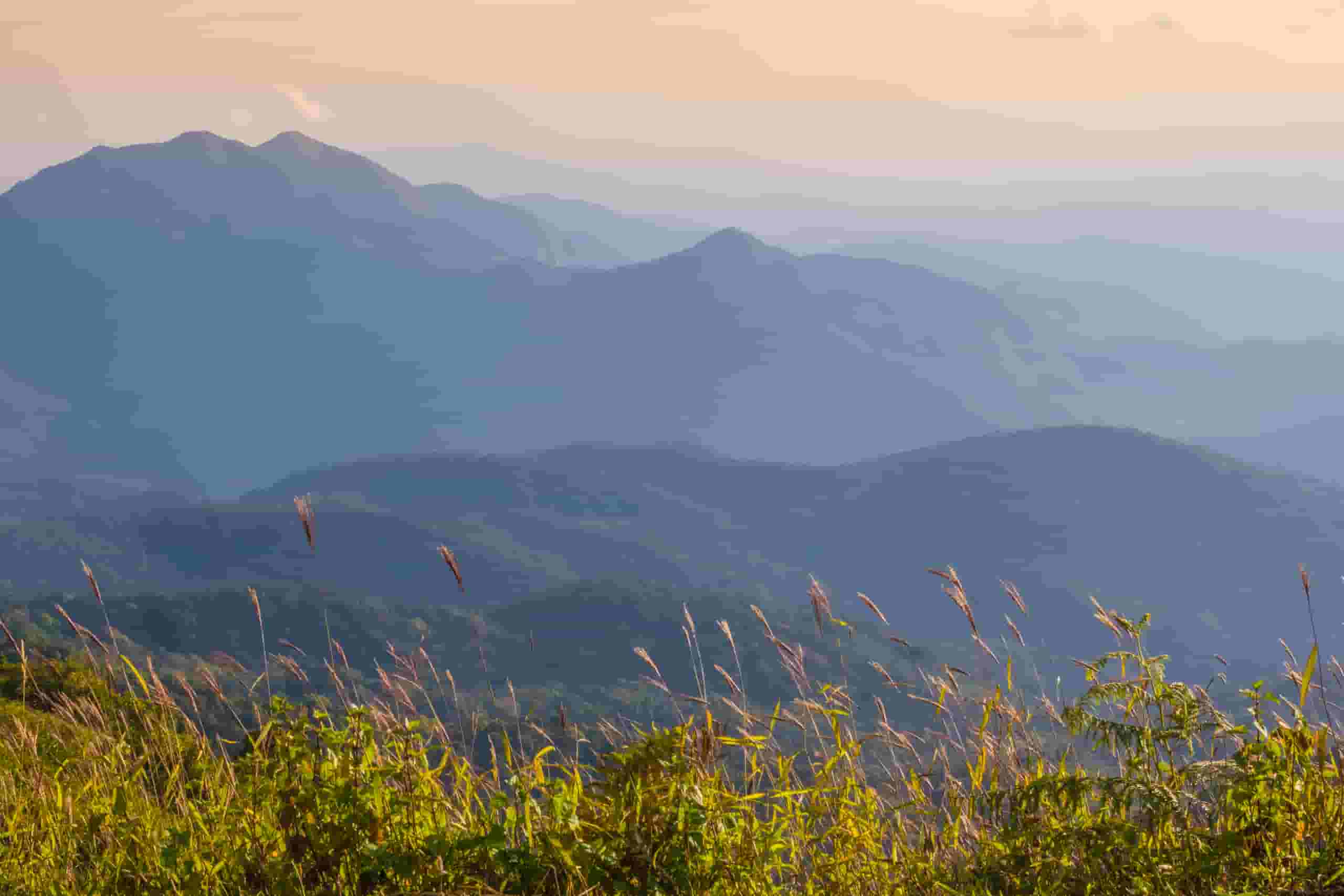 Trova voli economici per Kananga