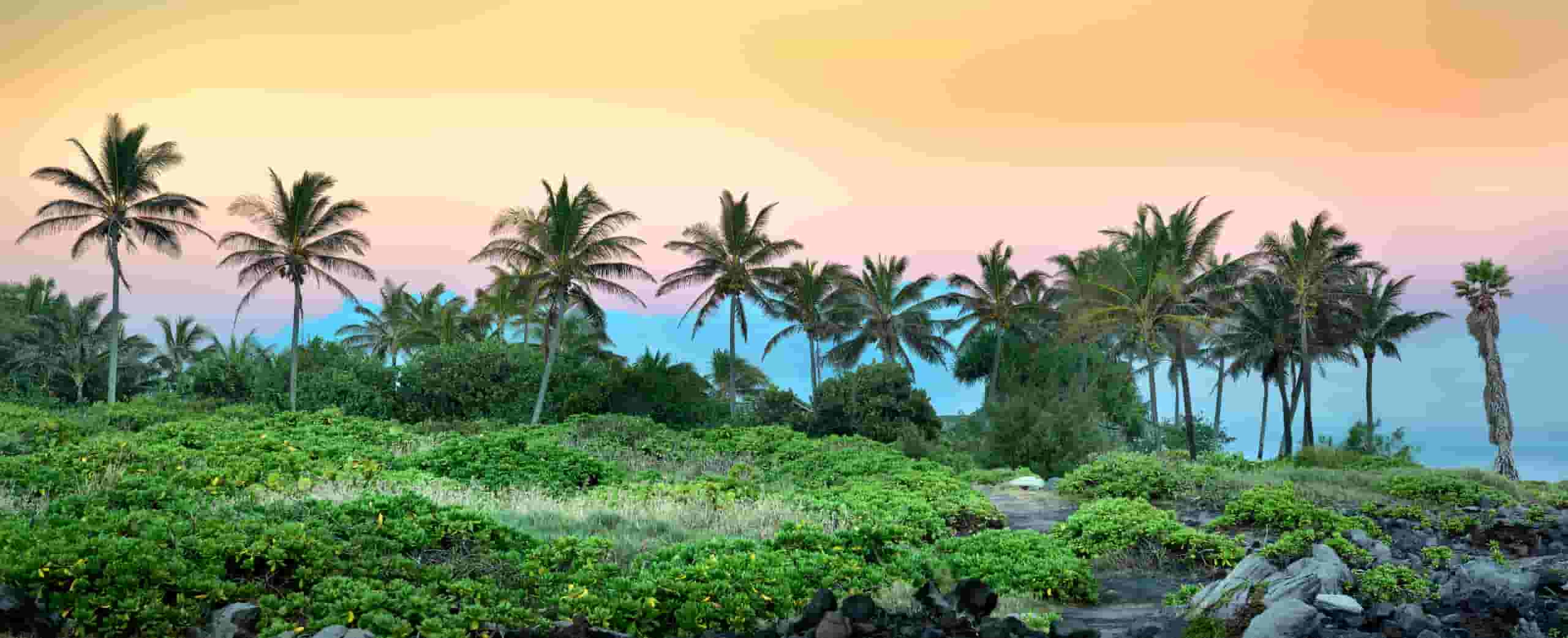 Find cheap flights to Kapalua