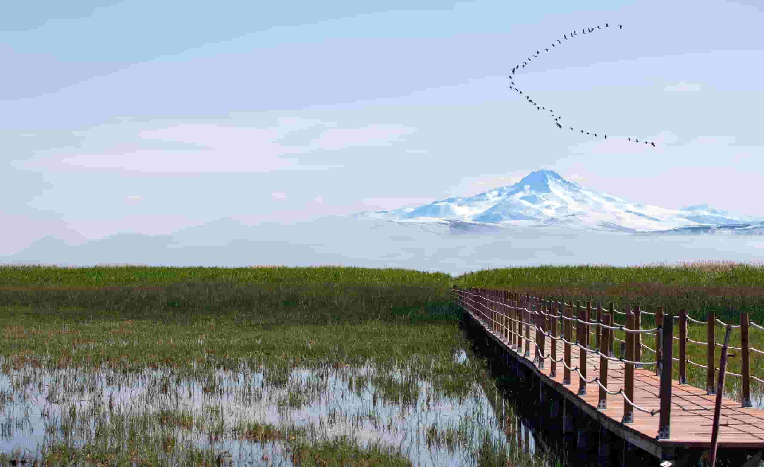 Vind goedkope vluchten naar Kayseri