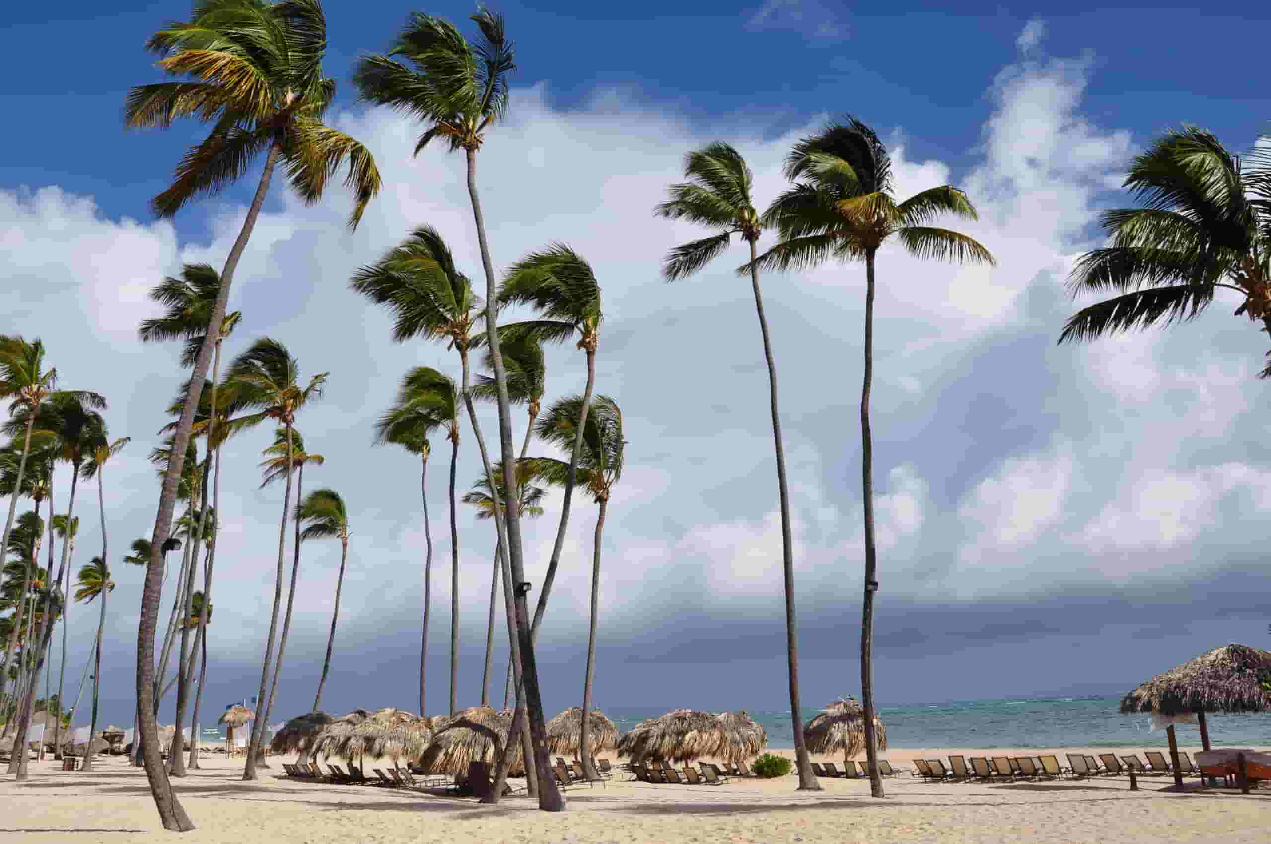 Najděte levné lety do Kingstonu už od 4,997 Kč