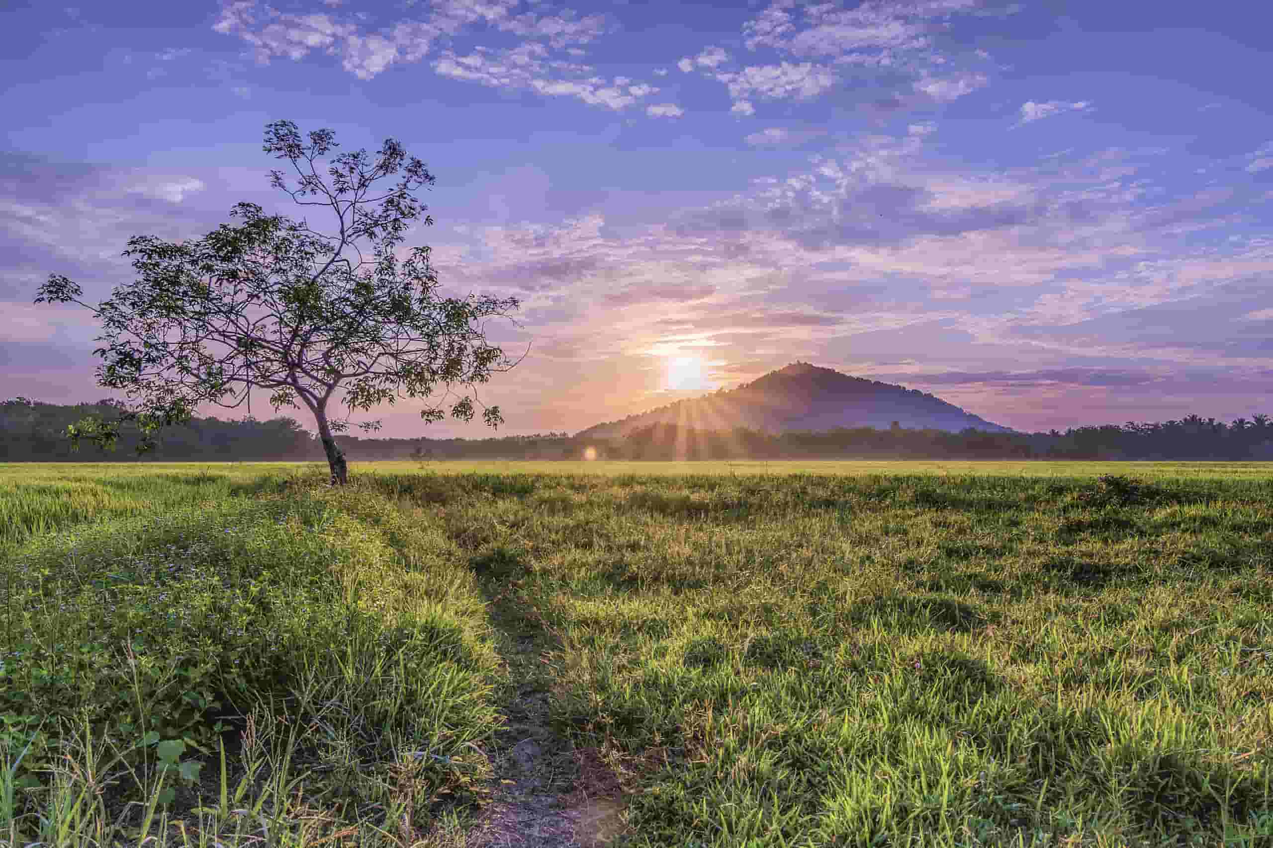 Hitta billiga flyg till Kota Bharu