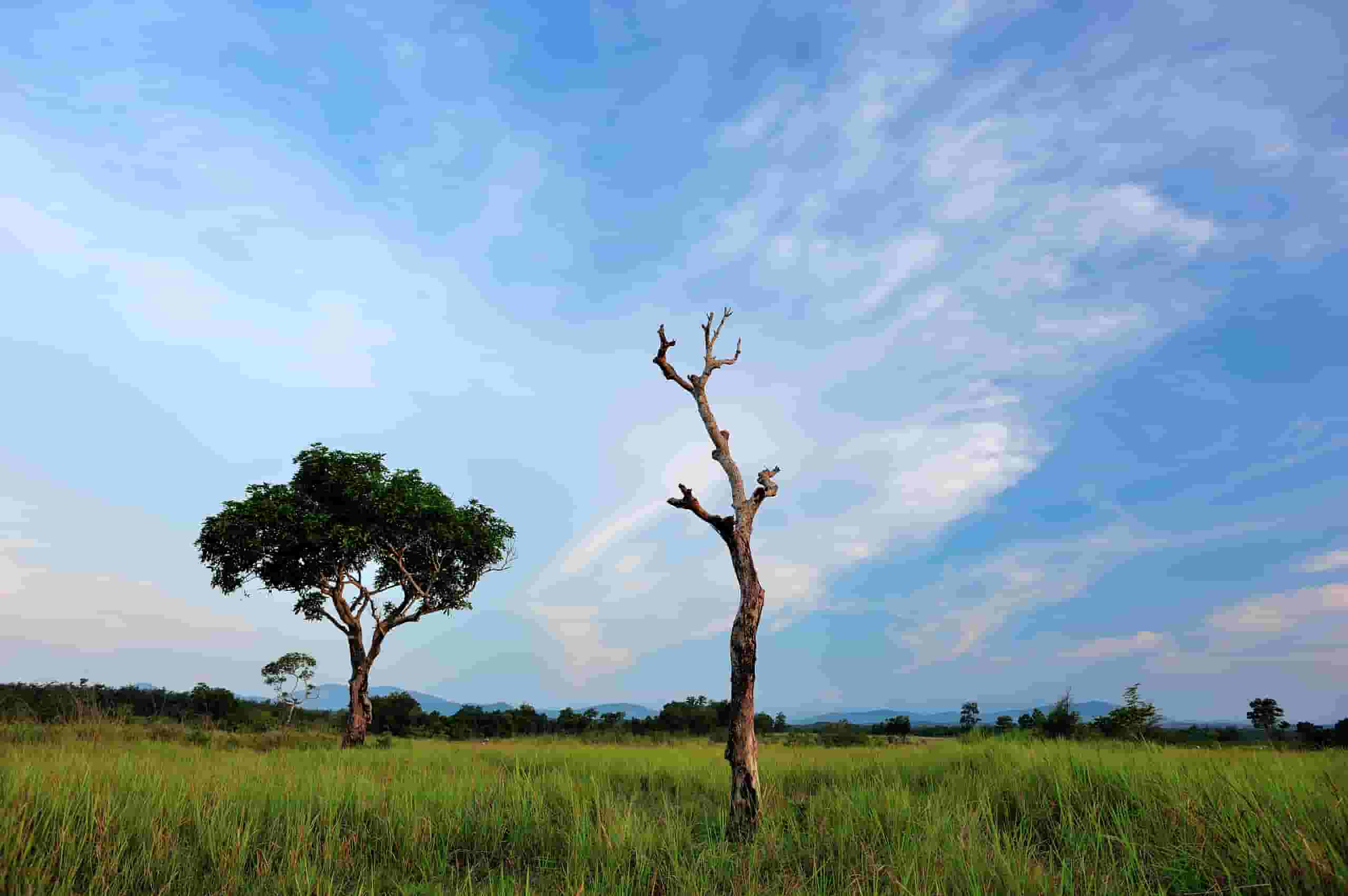 Find billige flybilletter to Kupang