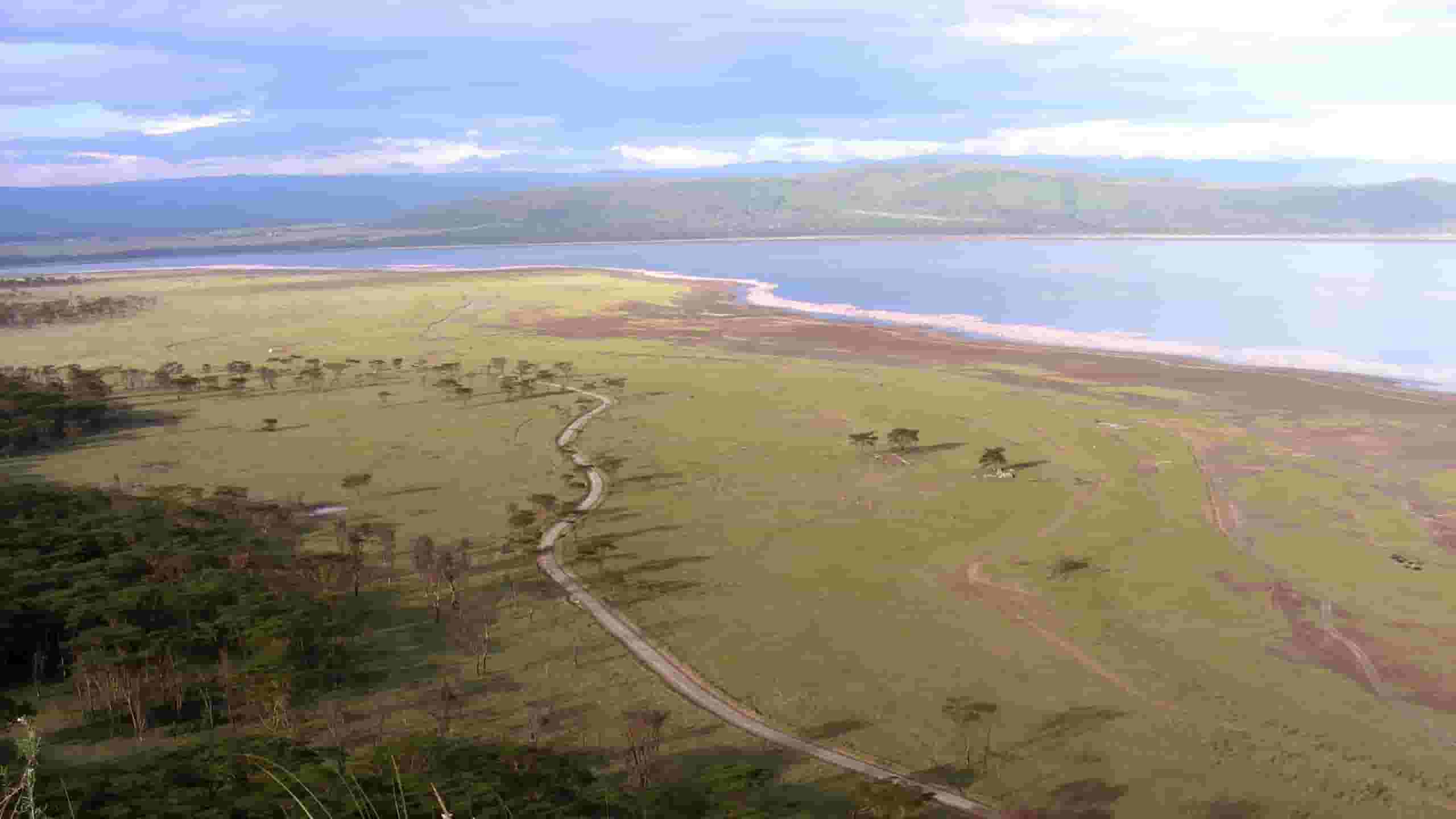 Find billige flybilletter til Lake Manyara