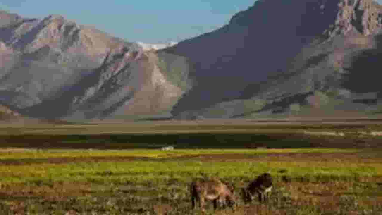 Find cheap flights To Lar
