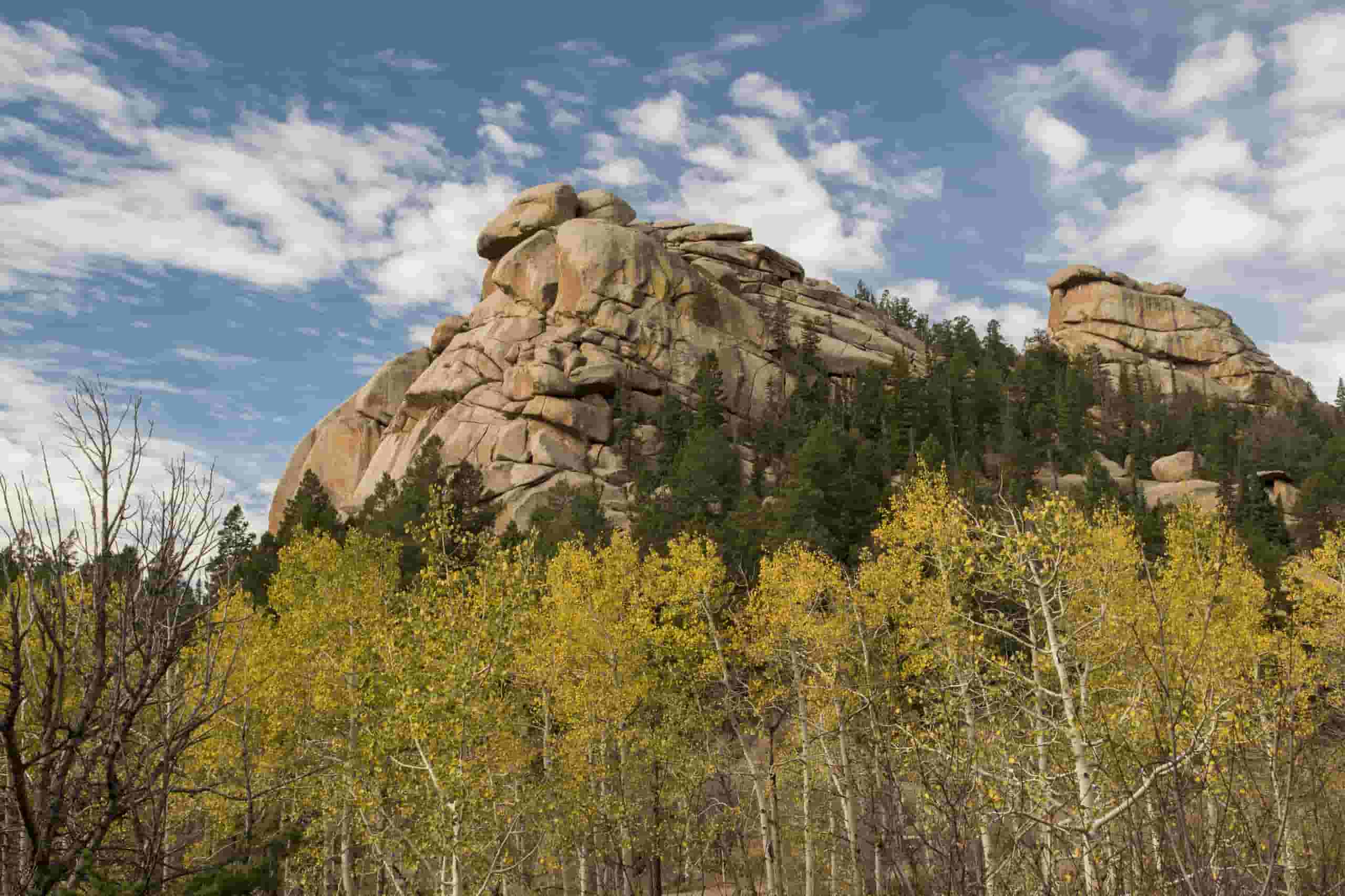 Find cheap flights to Laramie