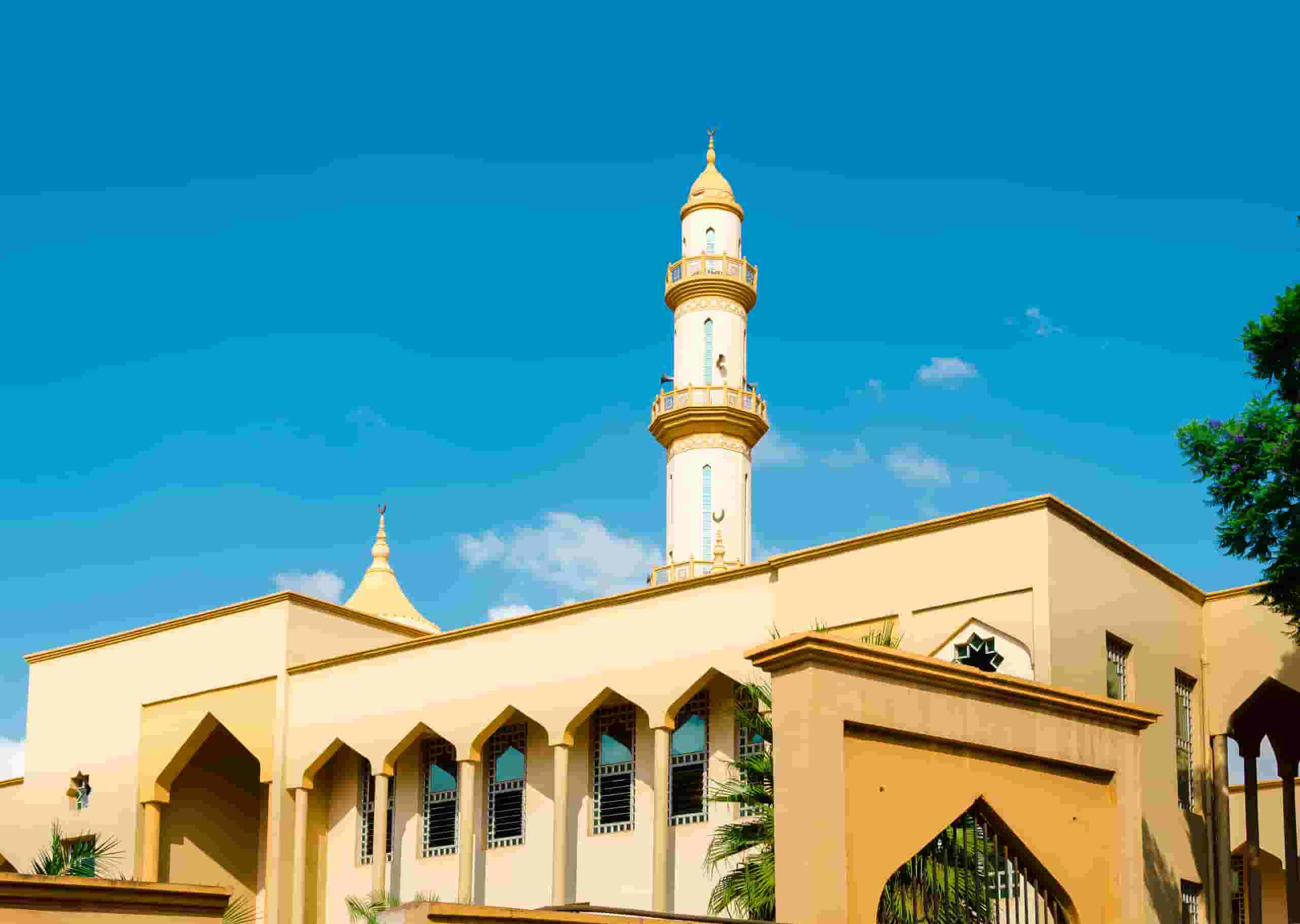 Find cheap flights to Lilongwe from CA$1,221