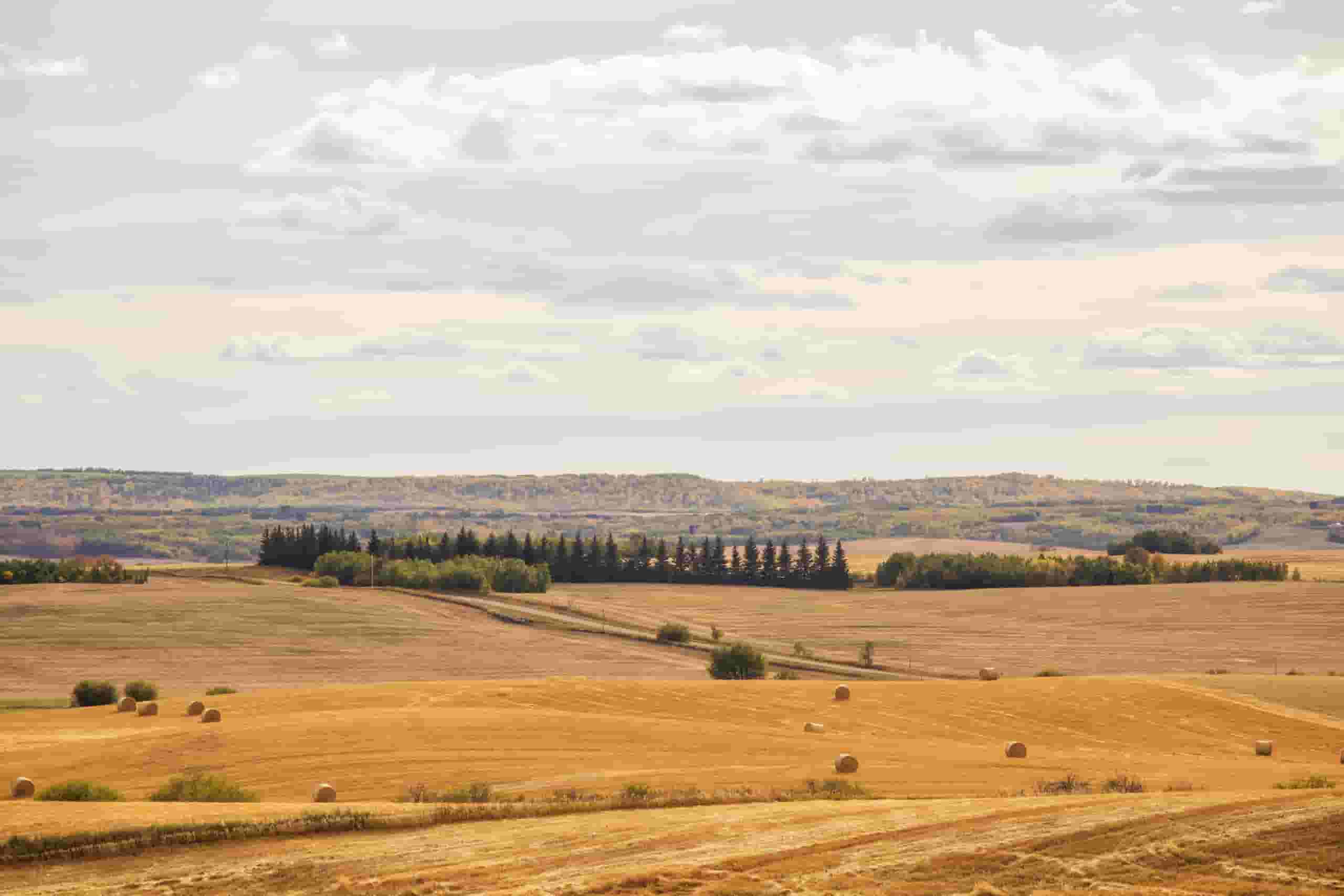 Location de voiture pas chère à Lloydminster, Canada