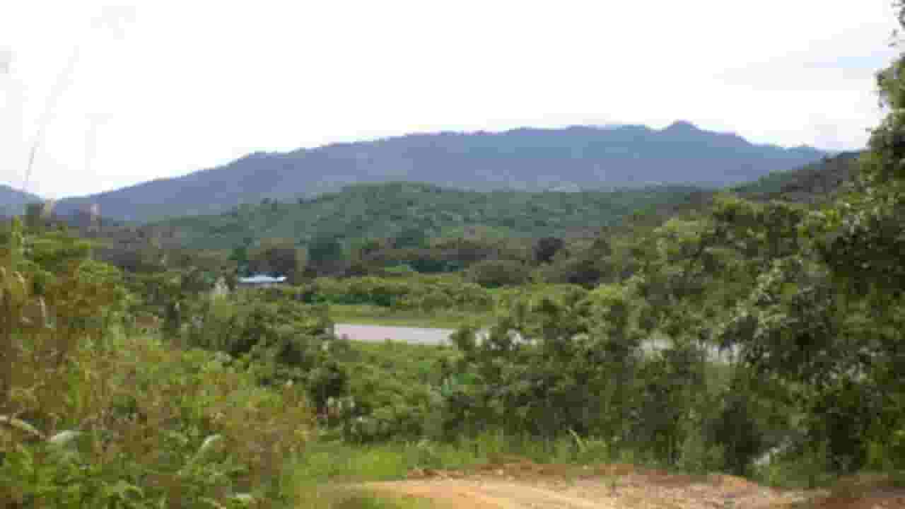 Find cheap flights to Long Banga