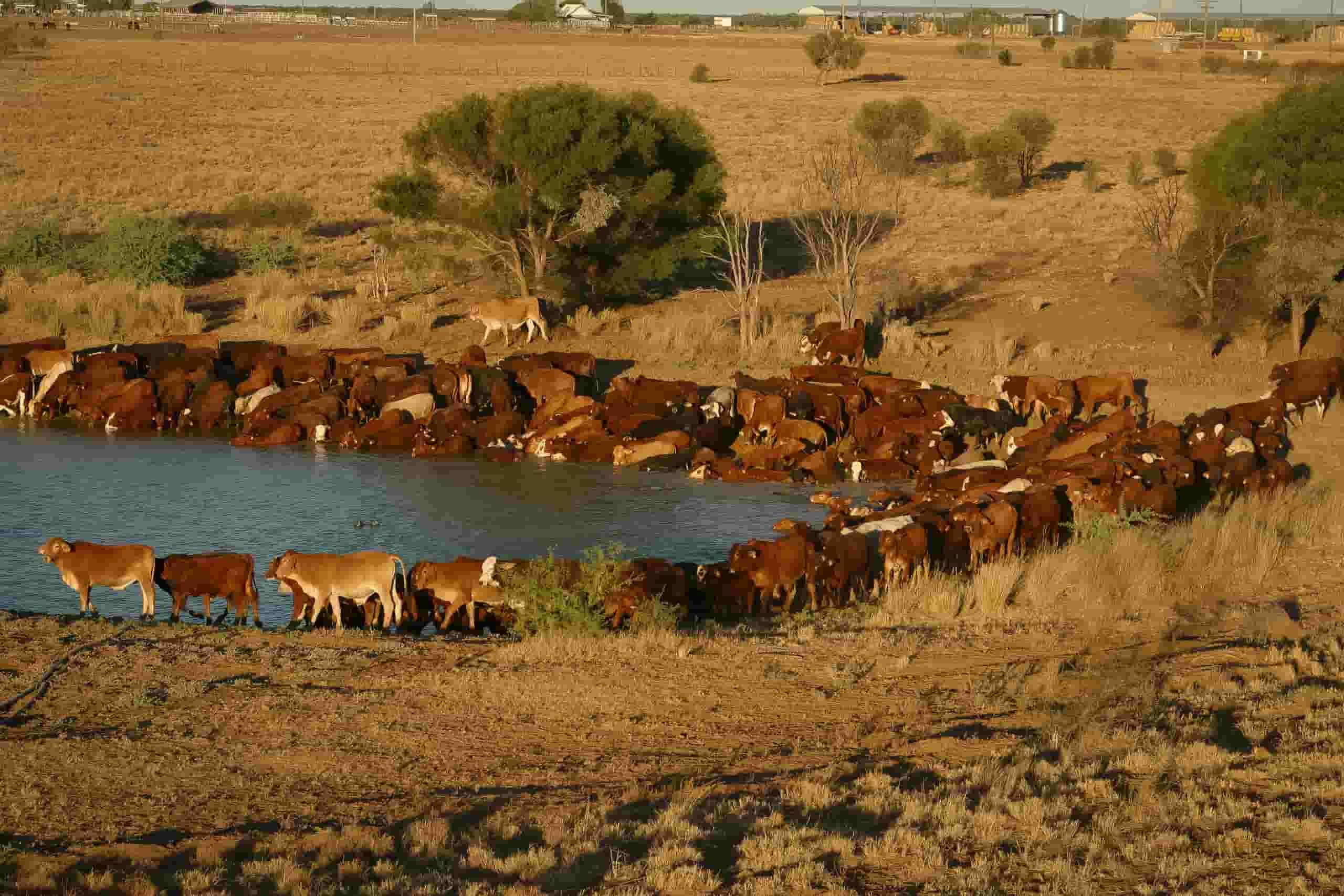 Find cheap flights to Longreach