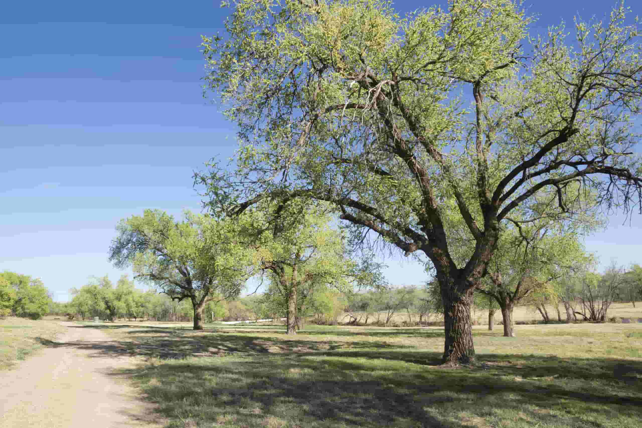 Wyszukaj tanie loty do Lubbock od 1,121 zł