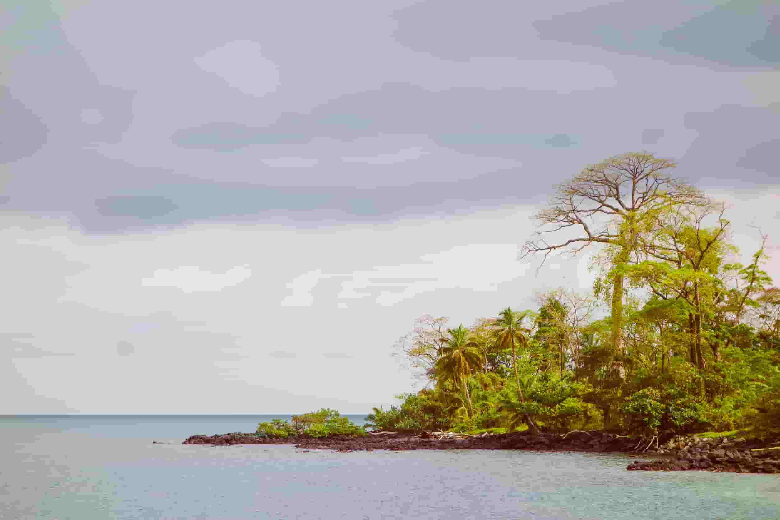 Find cheap flights to Malabo