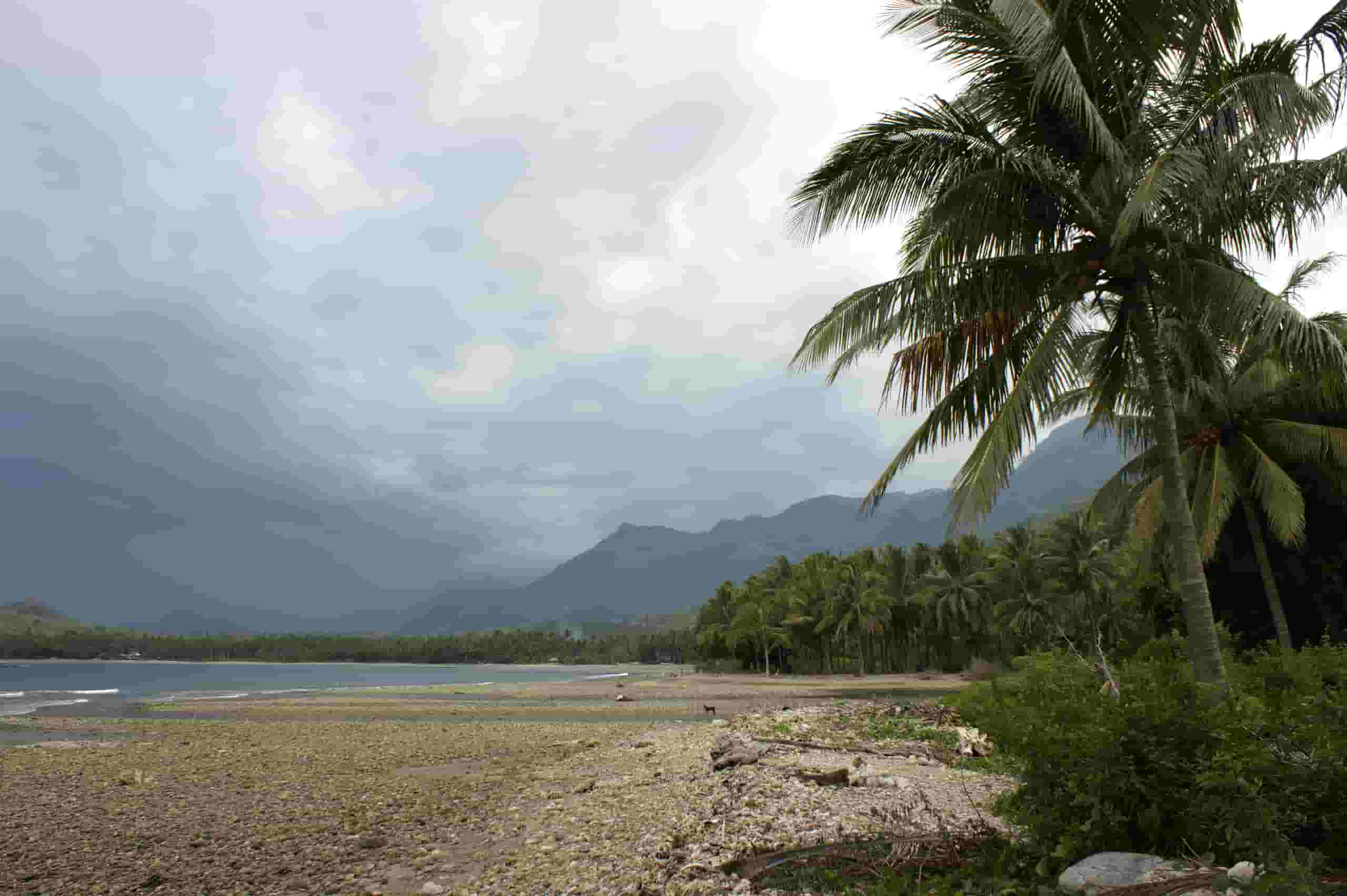 Find billige flybilletter to Mamuju Regency