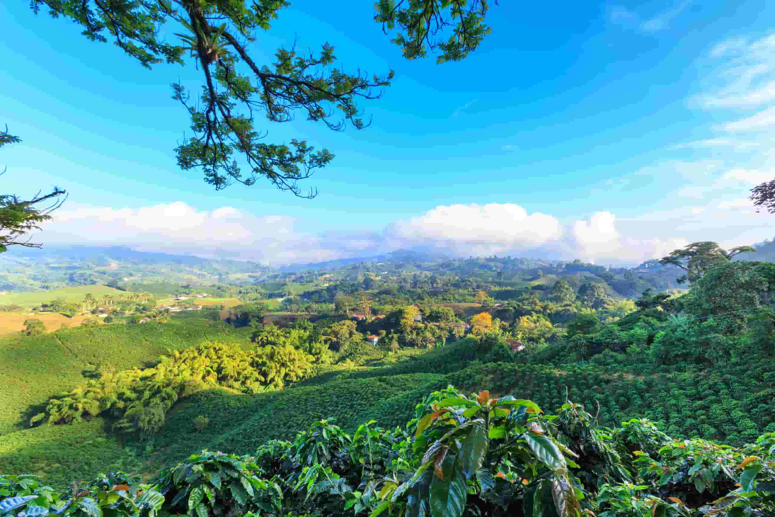 Find cheap flights to Manizales