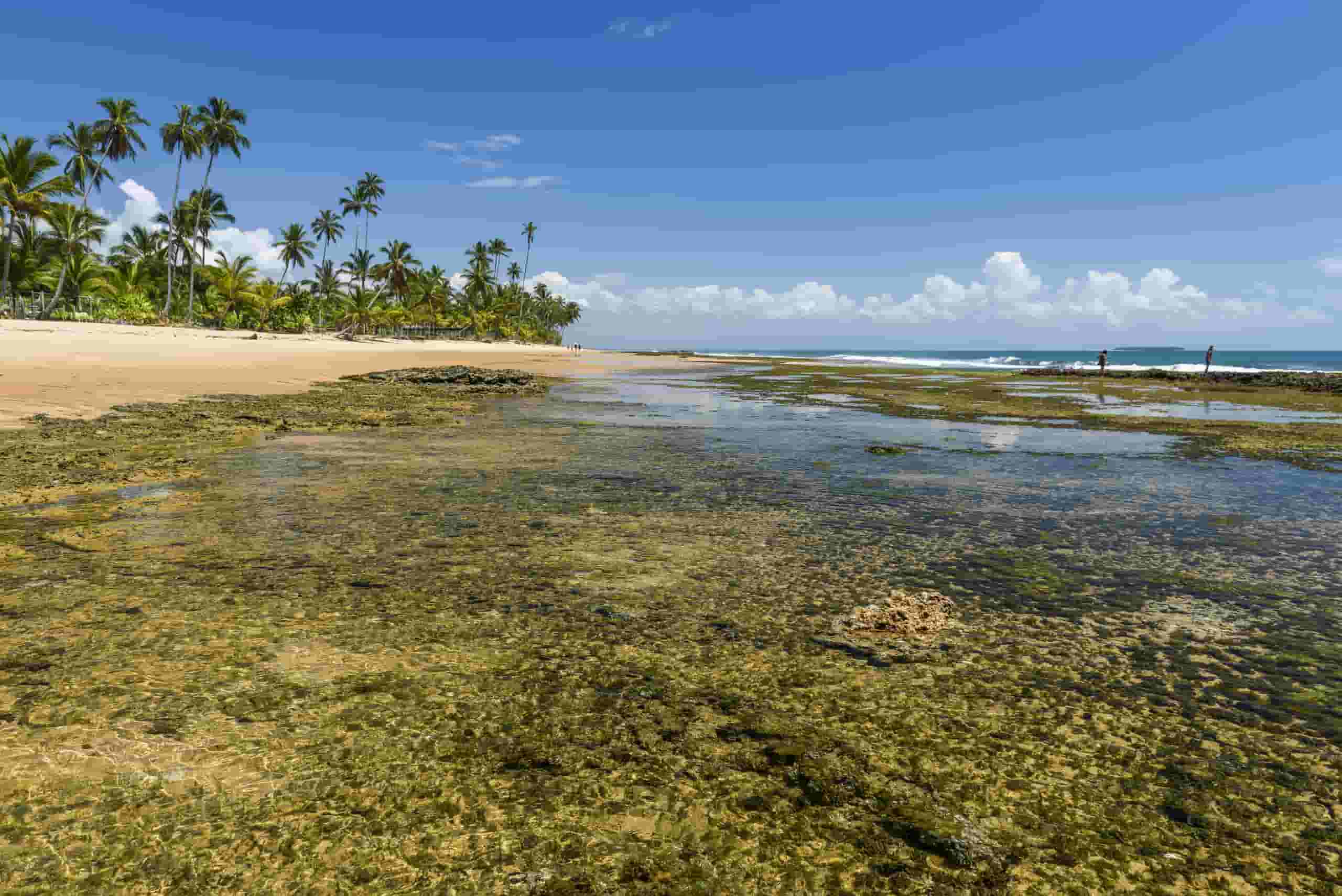 Find cheap flights to Marau Sound