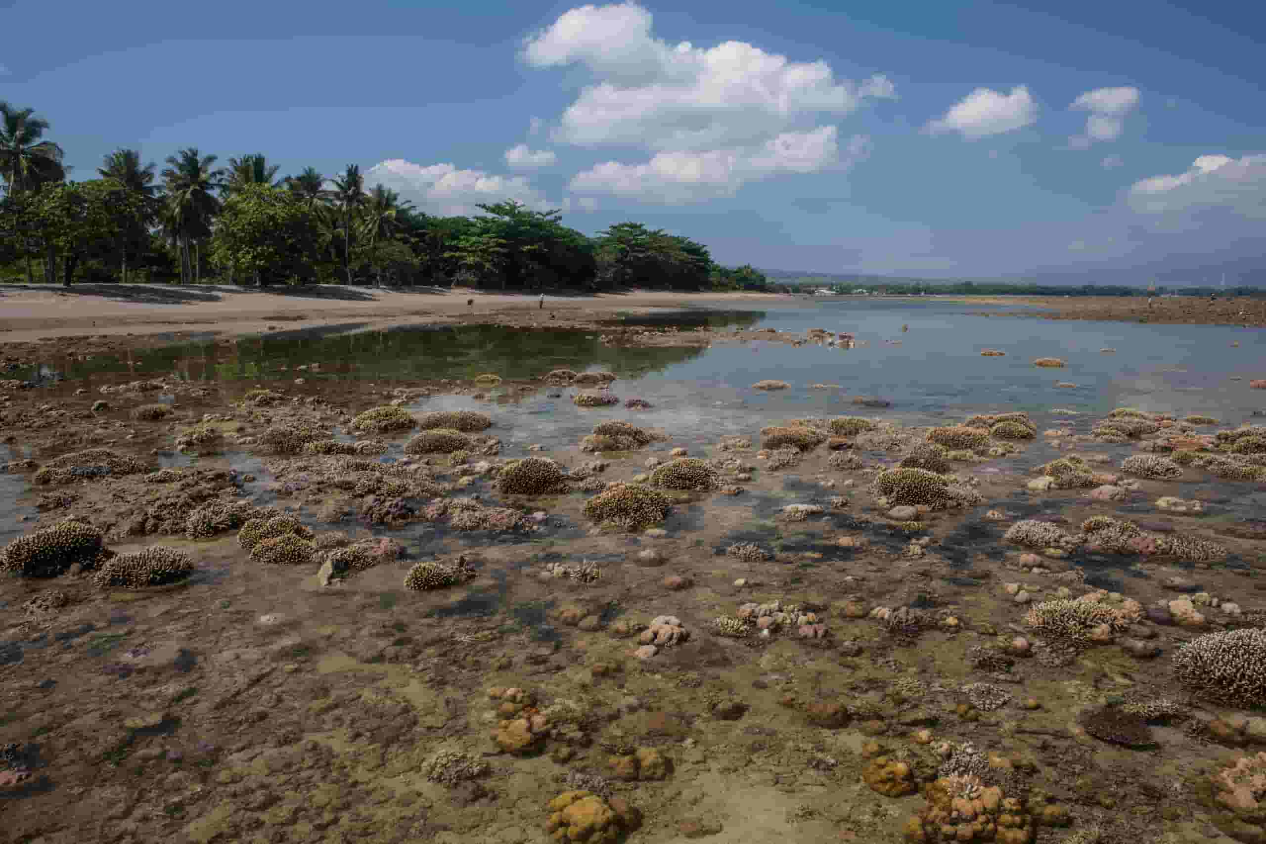 Noleggio auto economico a Maumere, Indonesia