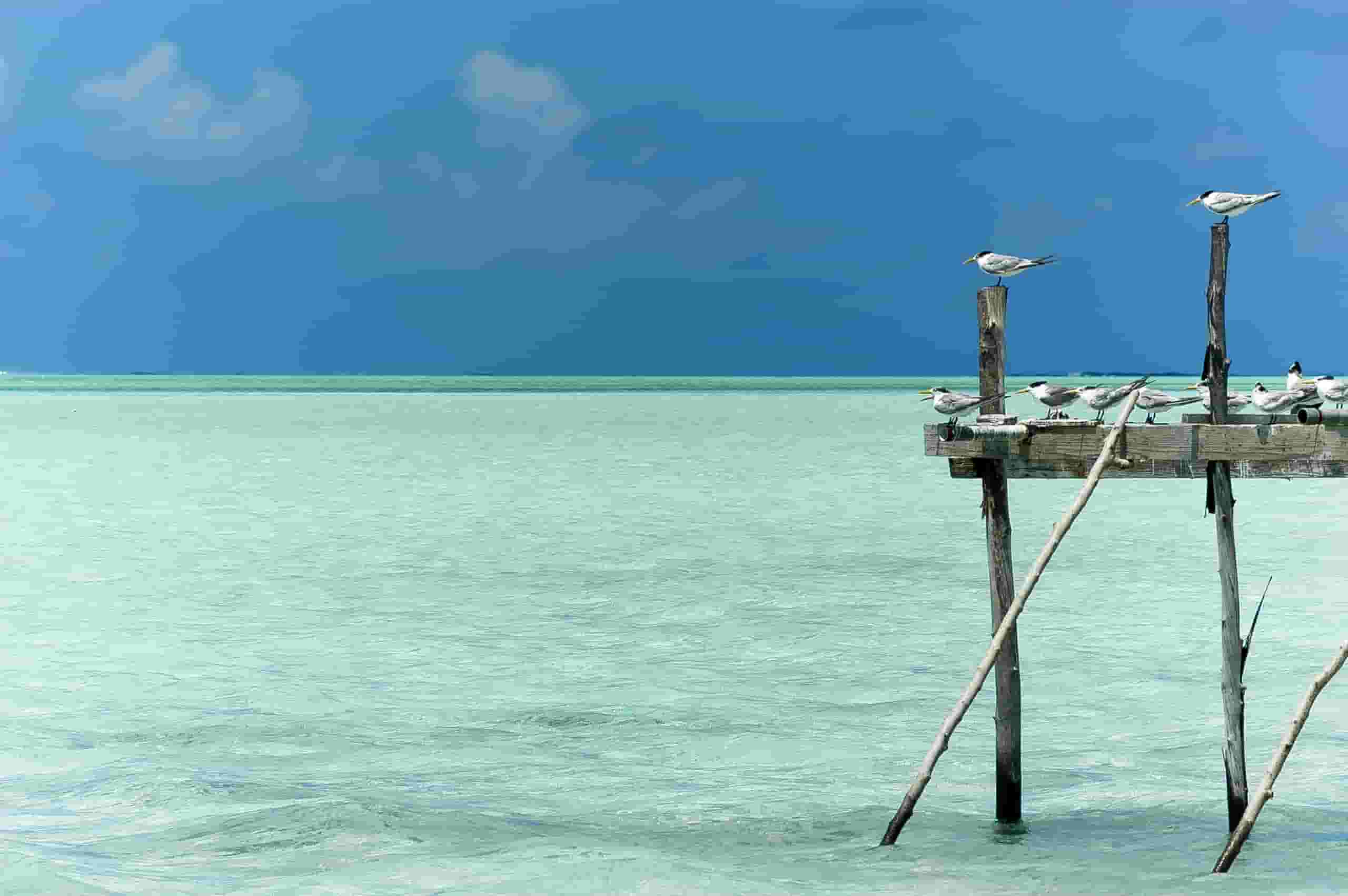 Vind goedkope vluchten to Maupiti