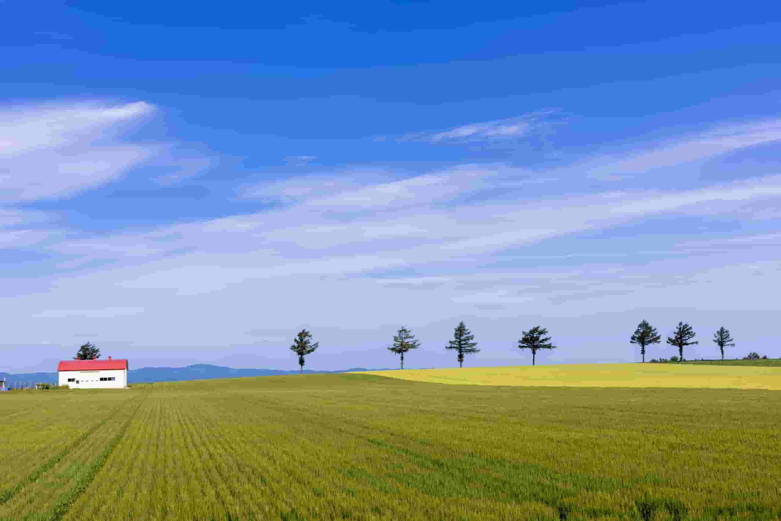 Wyszukaj tanie loty to Memanbetsu
