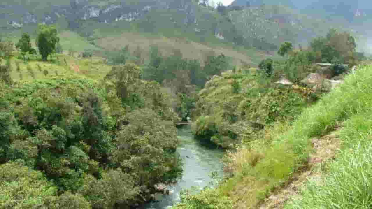 Find cheap flights to Mendi