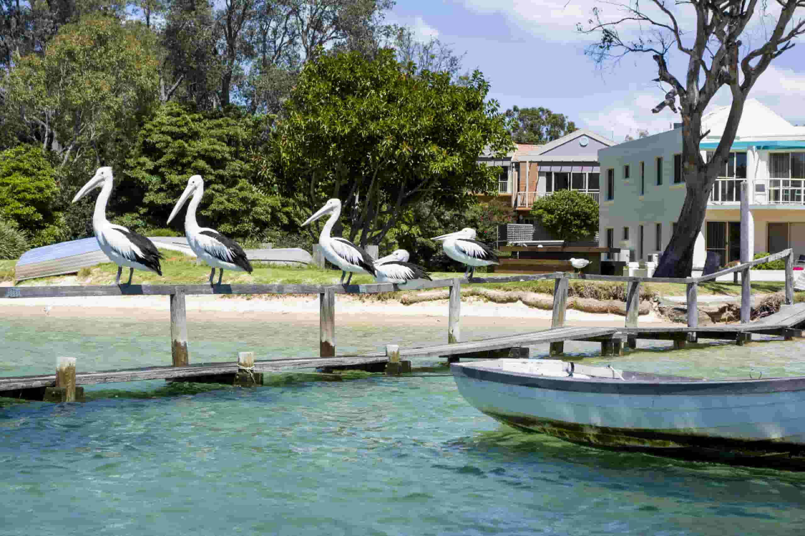 Wyszukaj tanie loty to Merimbula