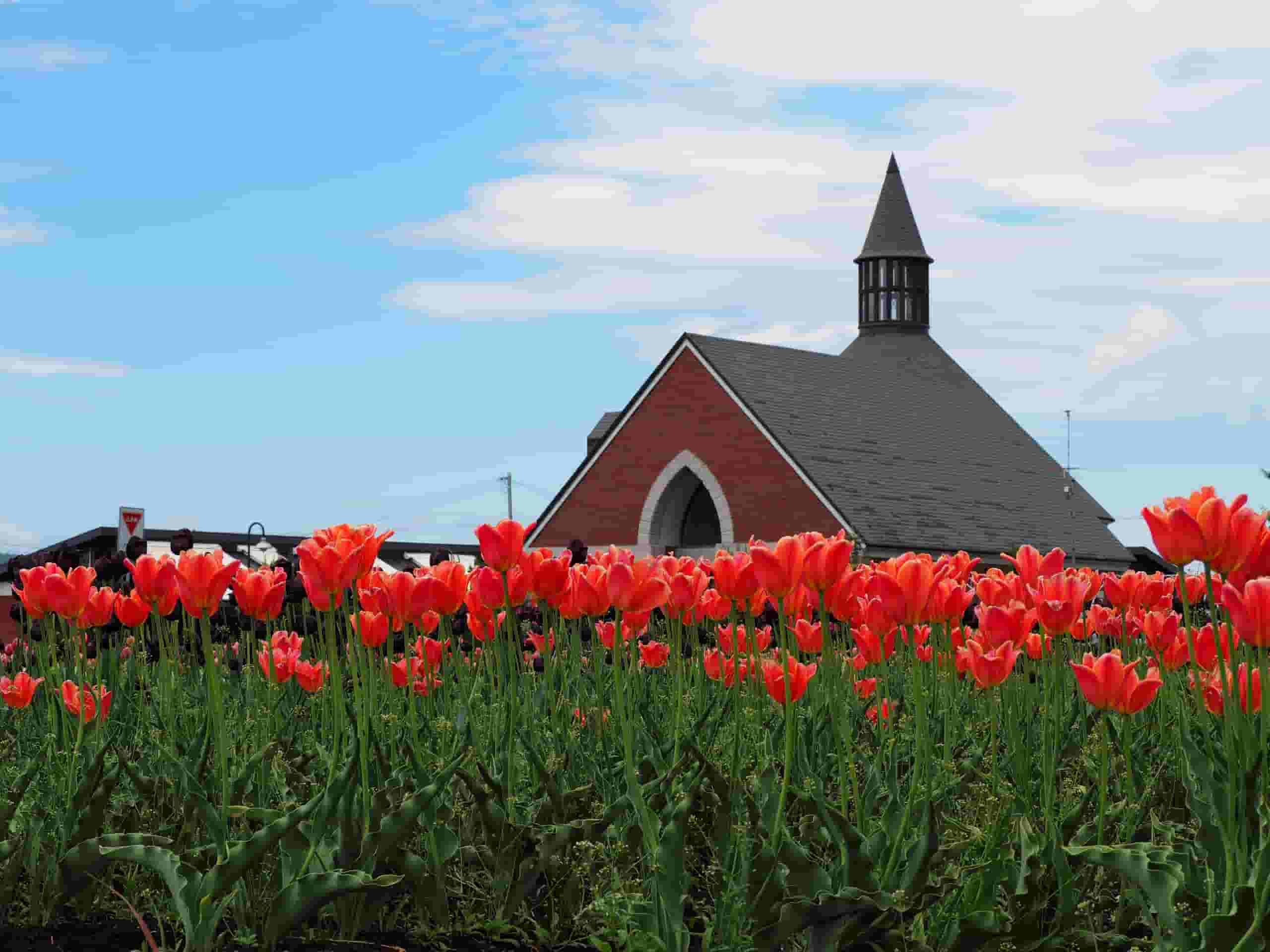 Trova voli economici To Monbetsu