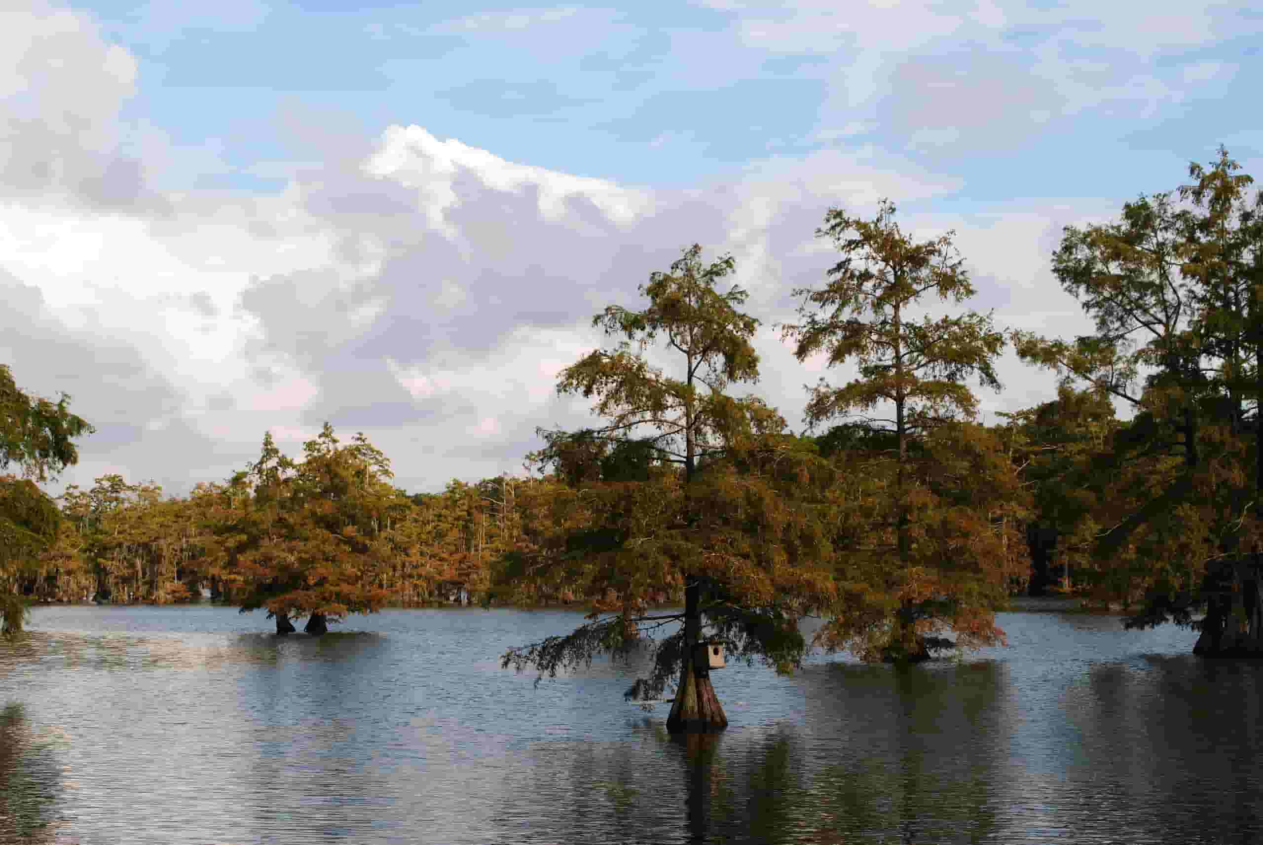 Wyszukaj tanie loty to Monroe