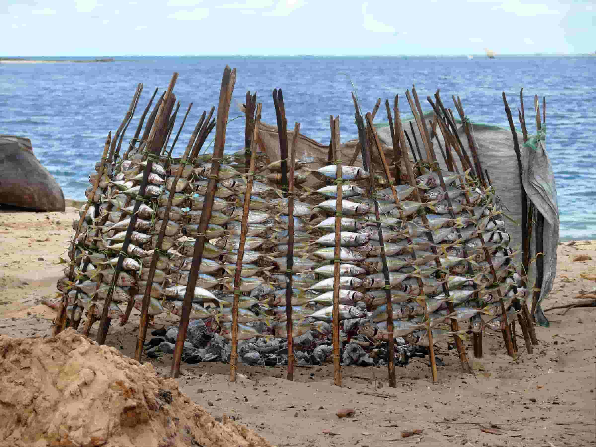 Etsi halpoja lentoja to Mtwara