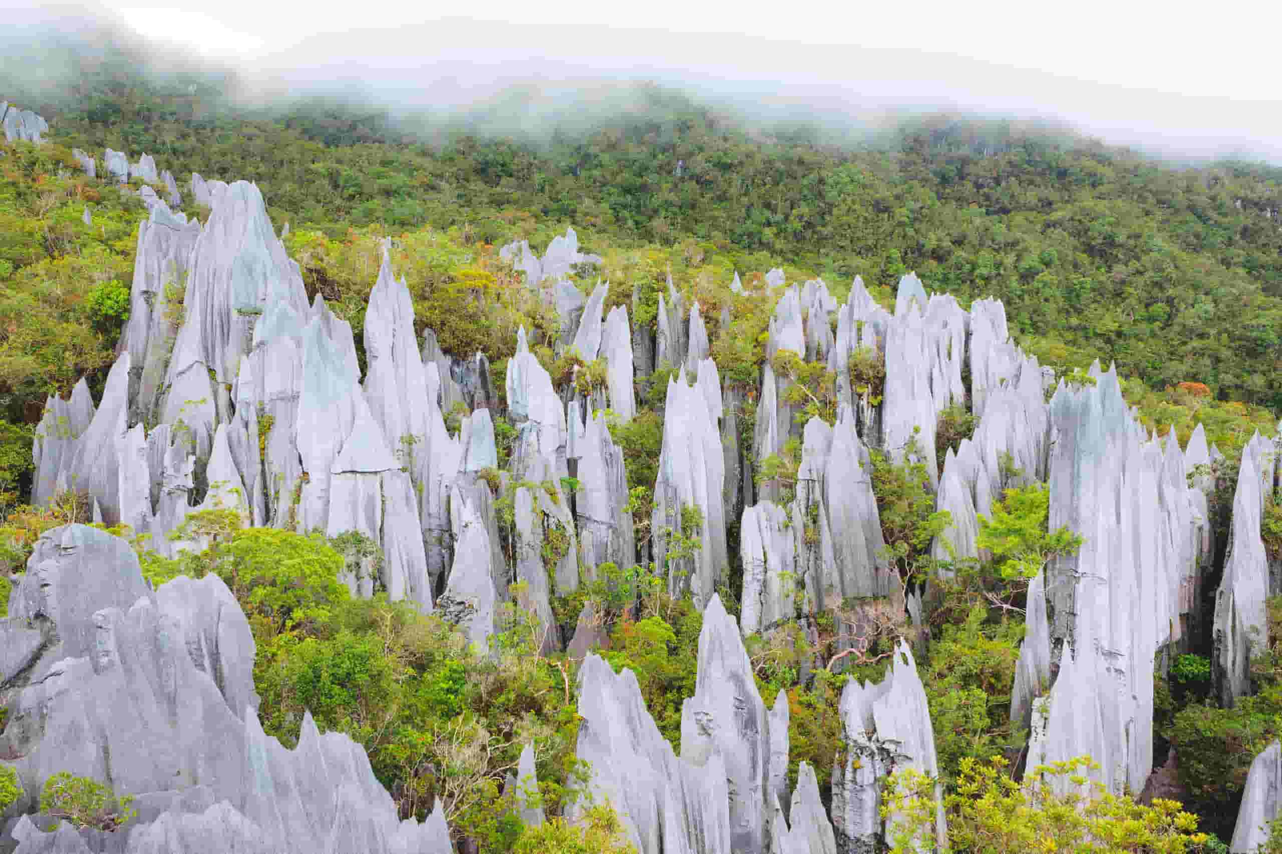 Find cheap flights to Gunung Mulu National Park