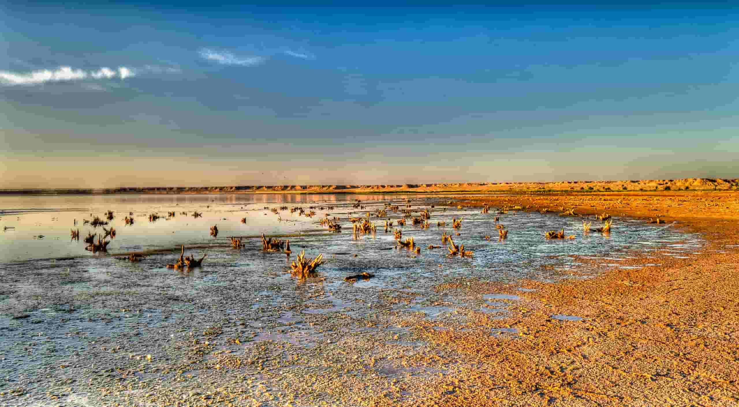 Find cheap flights to Najaf from $557