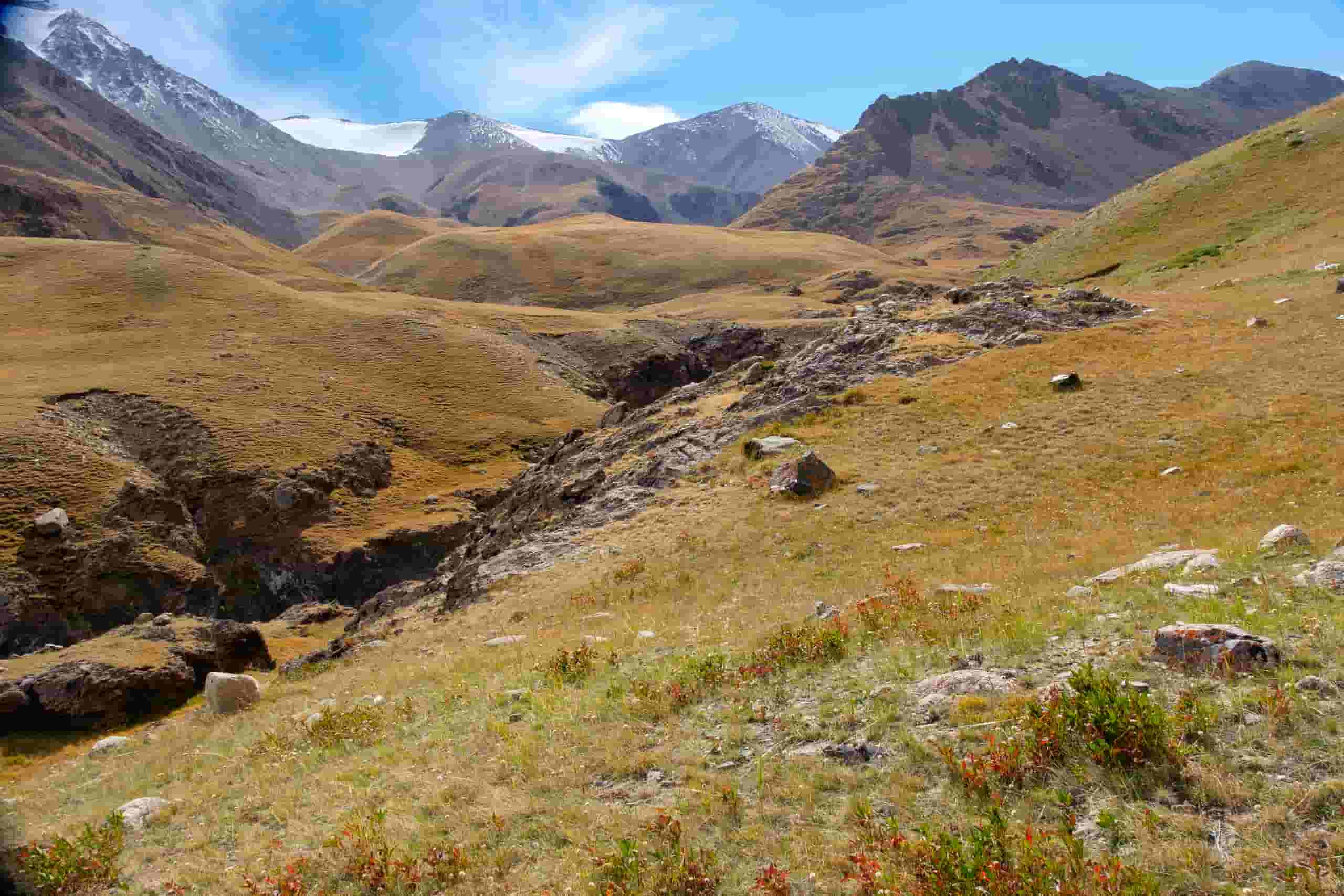 Find cheap flights to Ölgii