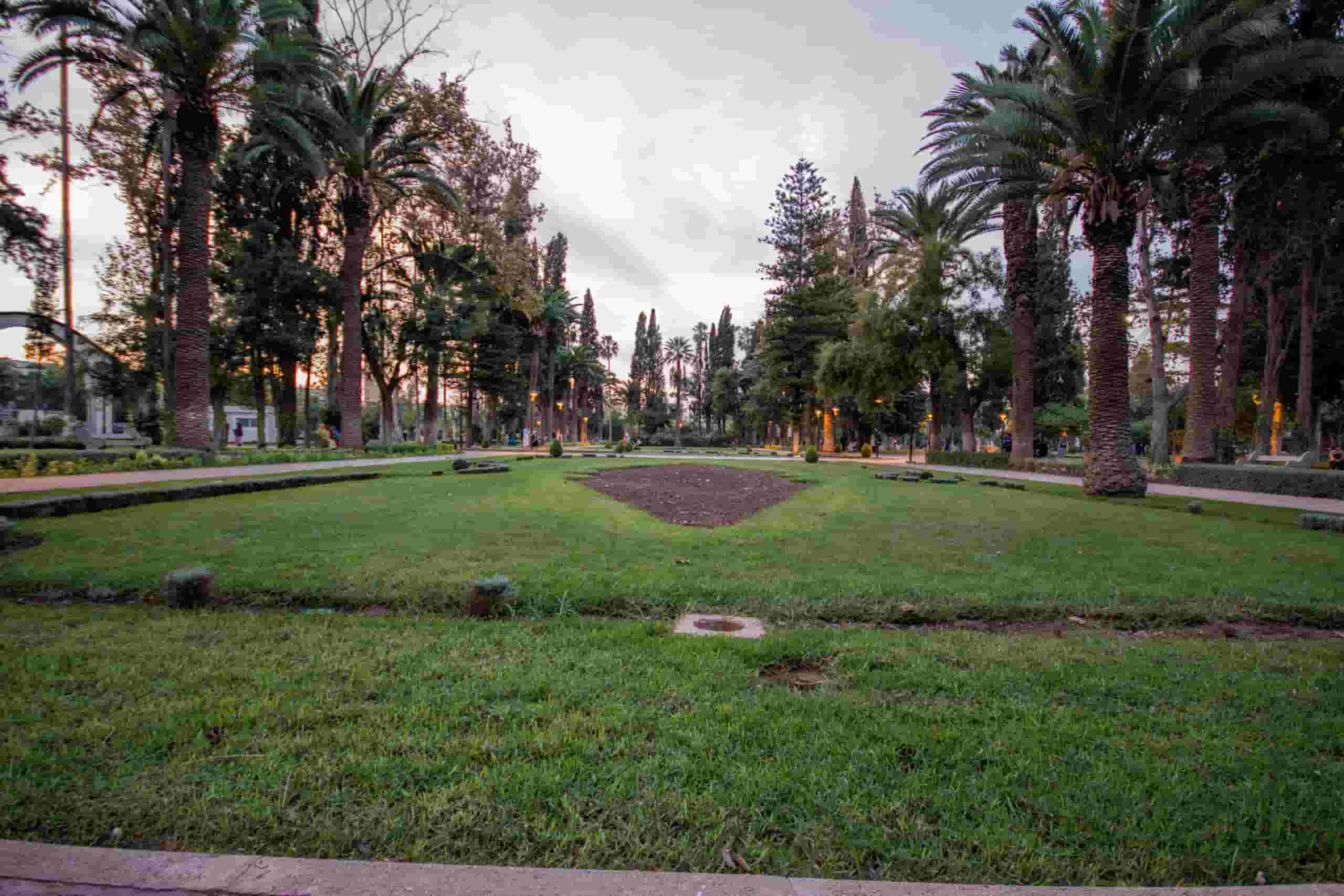 Finn billige flyreiser til Oujda