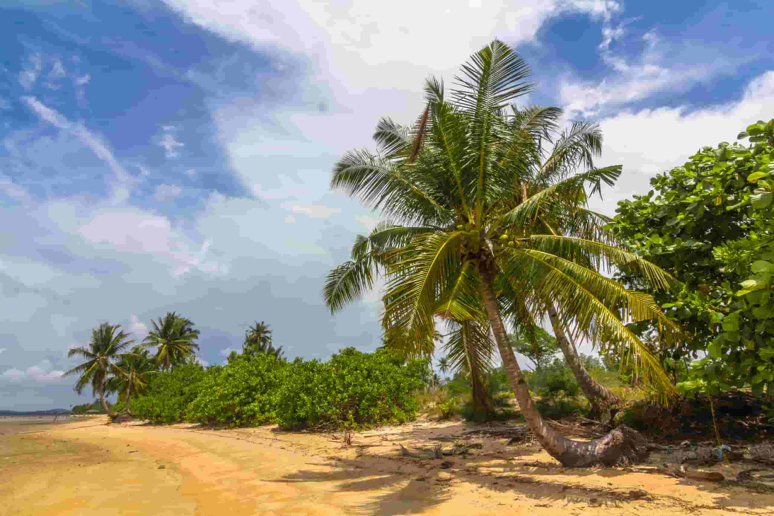 Find cheap flights to Pangkal Pinang