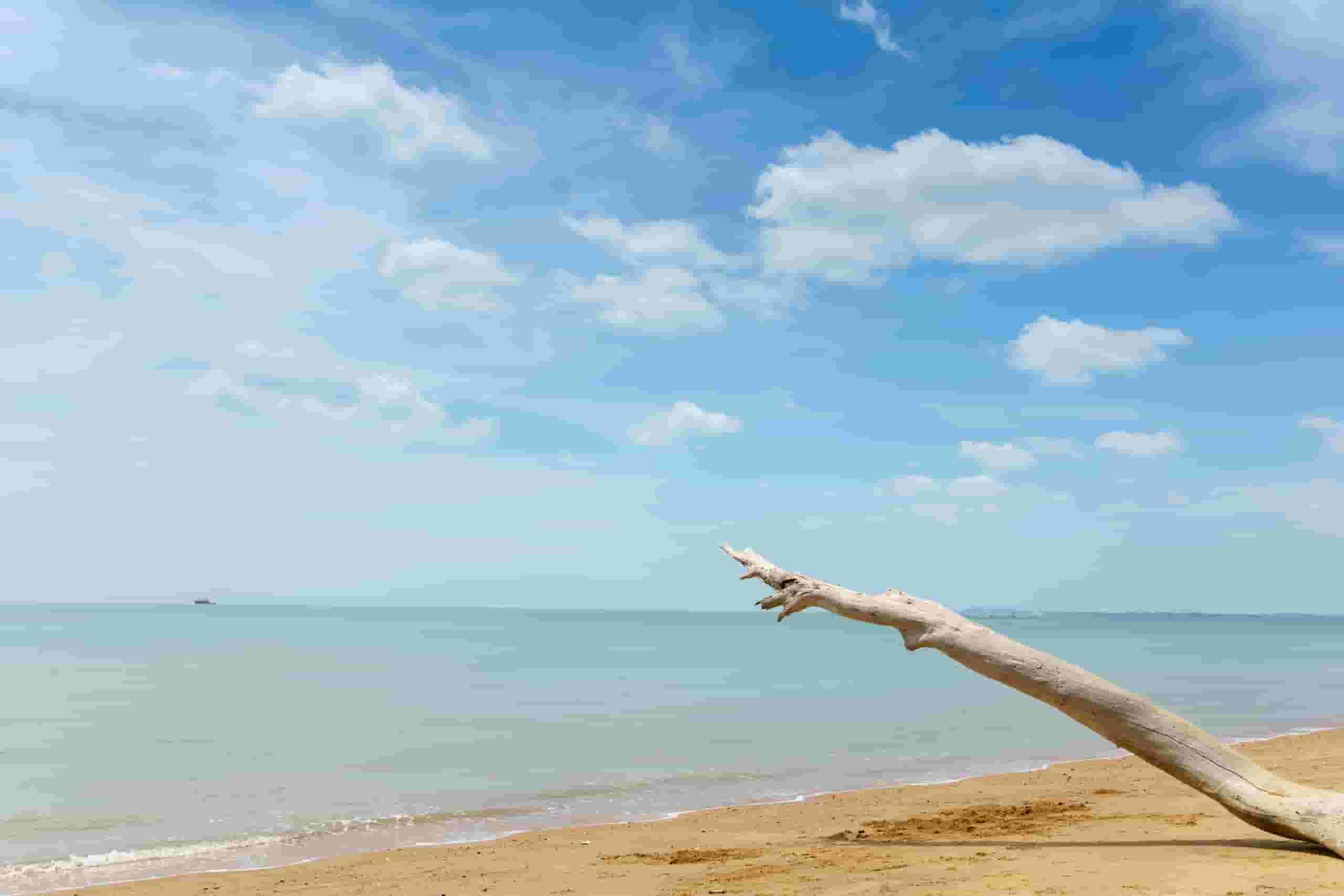 Find cheap flights to Pangkalan Bun