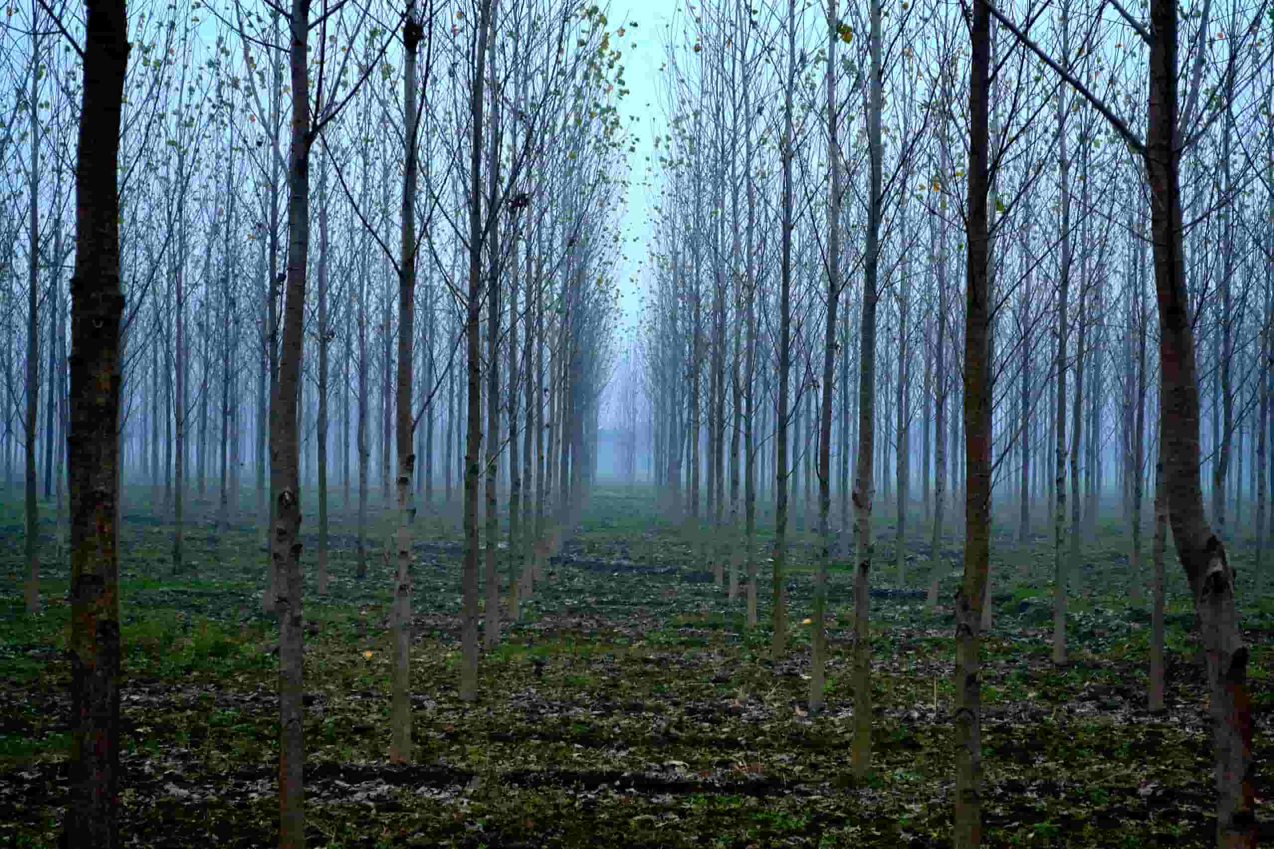 Find cheap flights to Pantnagar