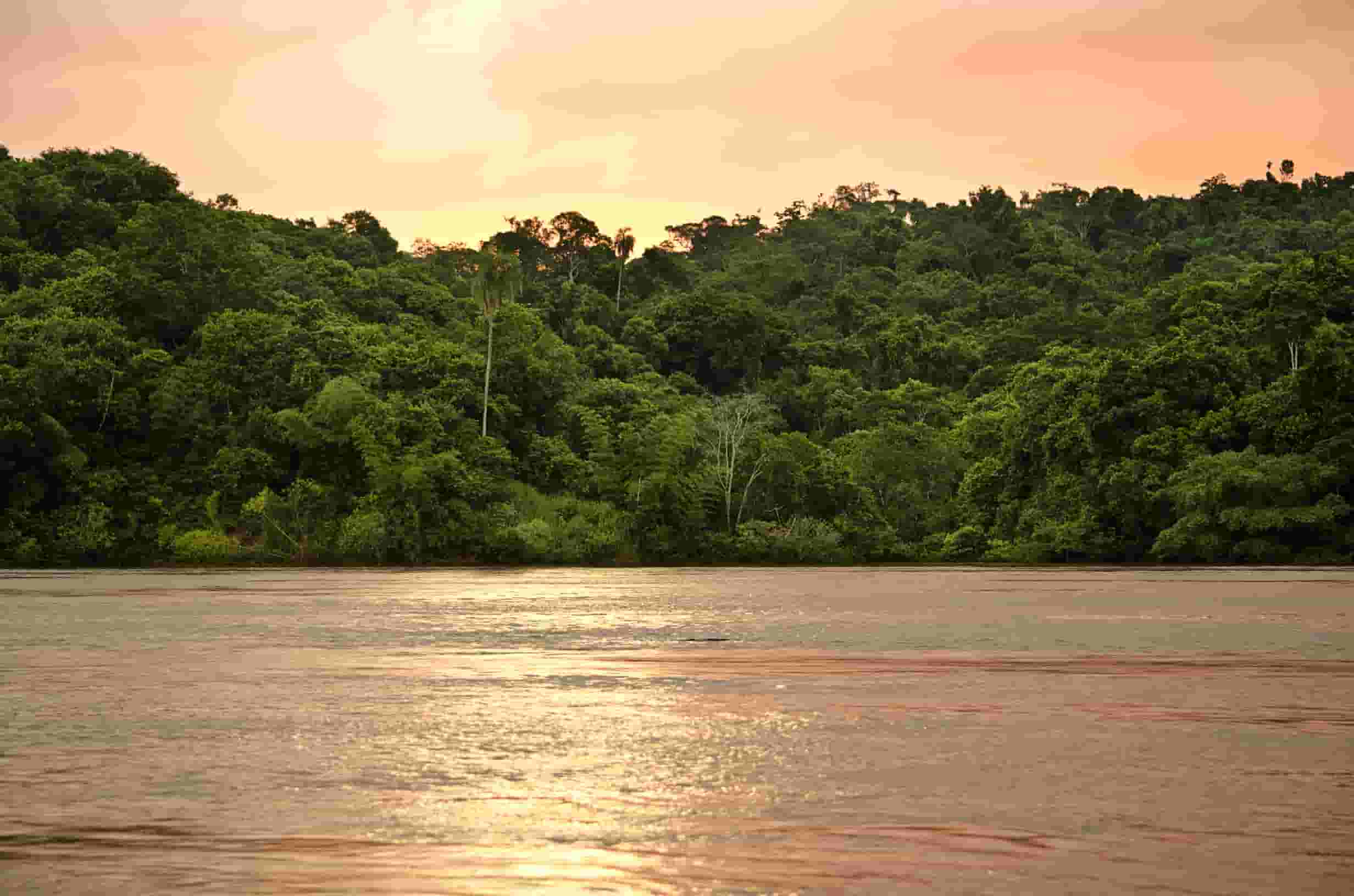 Find cheap flights to Paraná