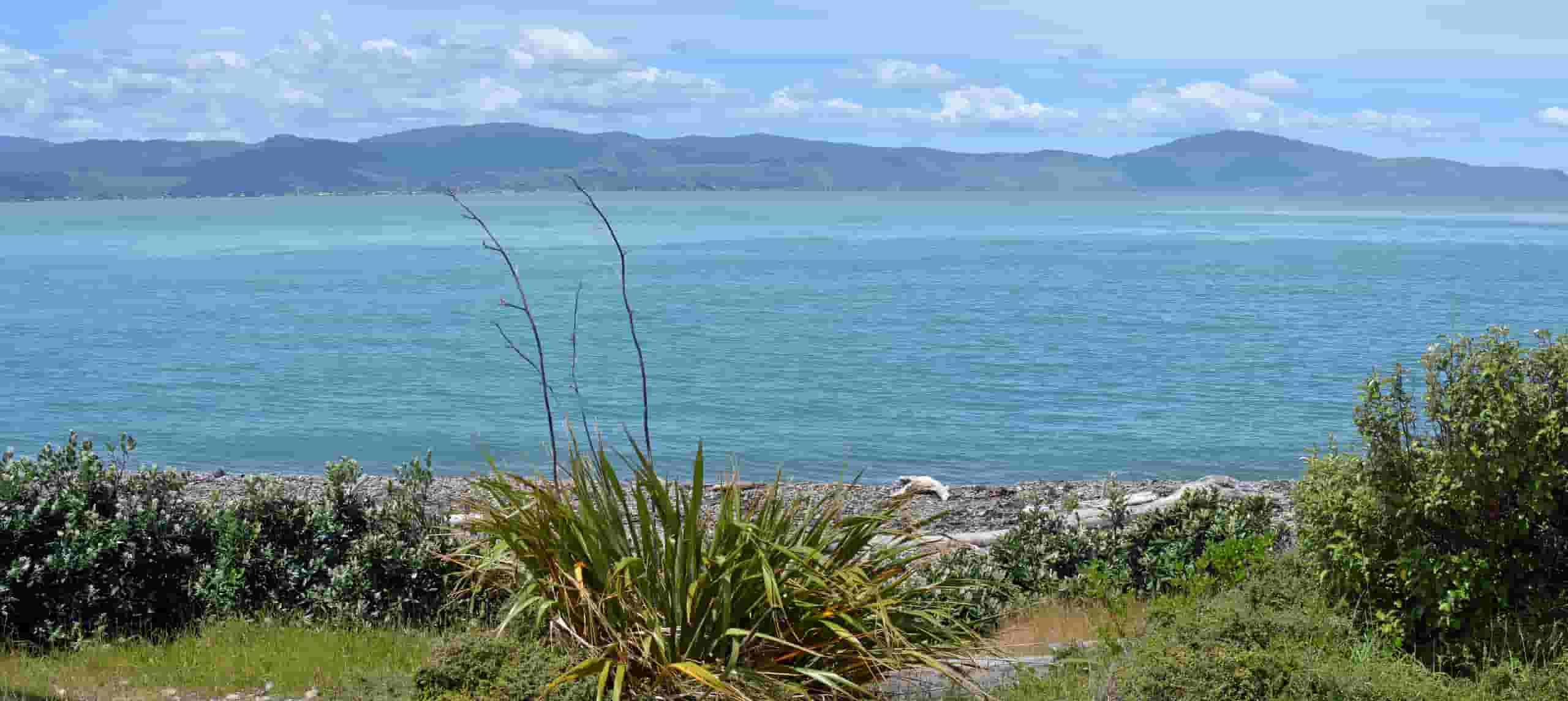 Trova voli economici per Paraparaumu