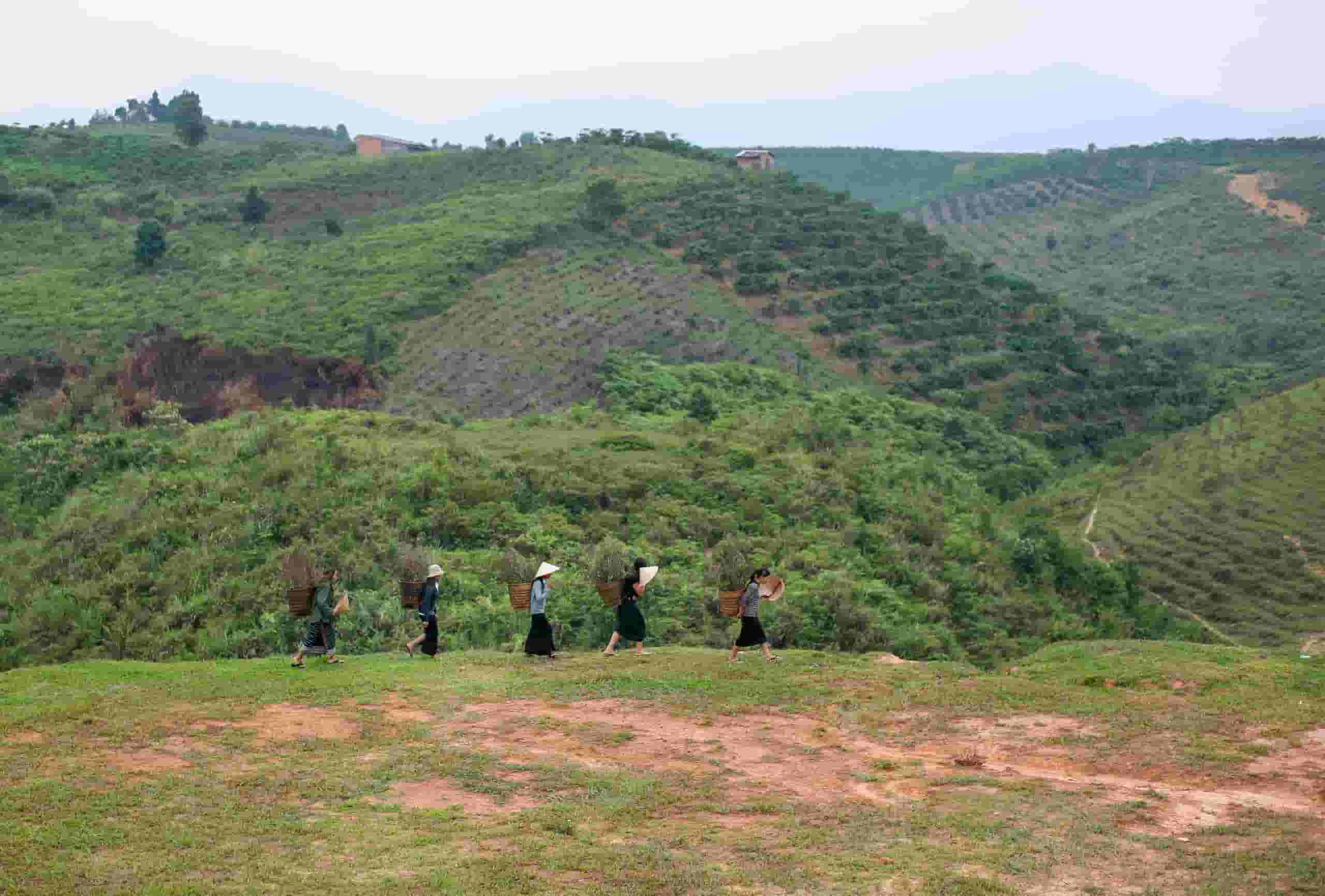 Wyszukaj tanie loty do Pleiku