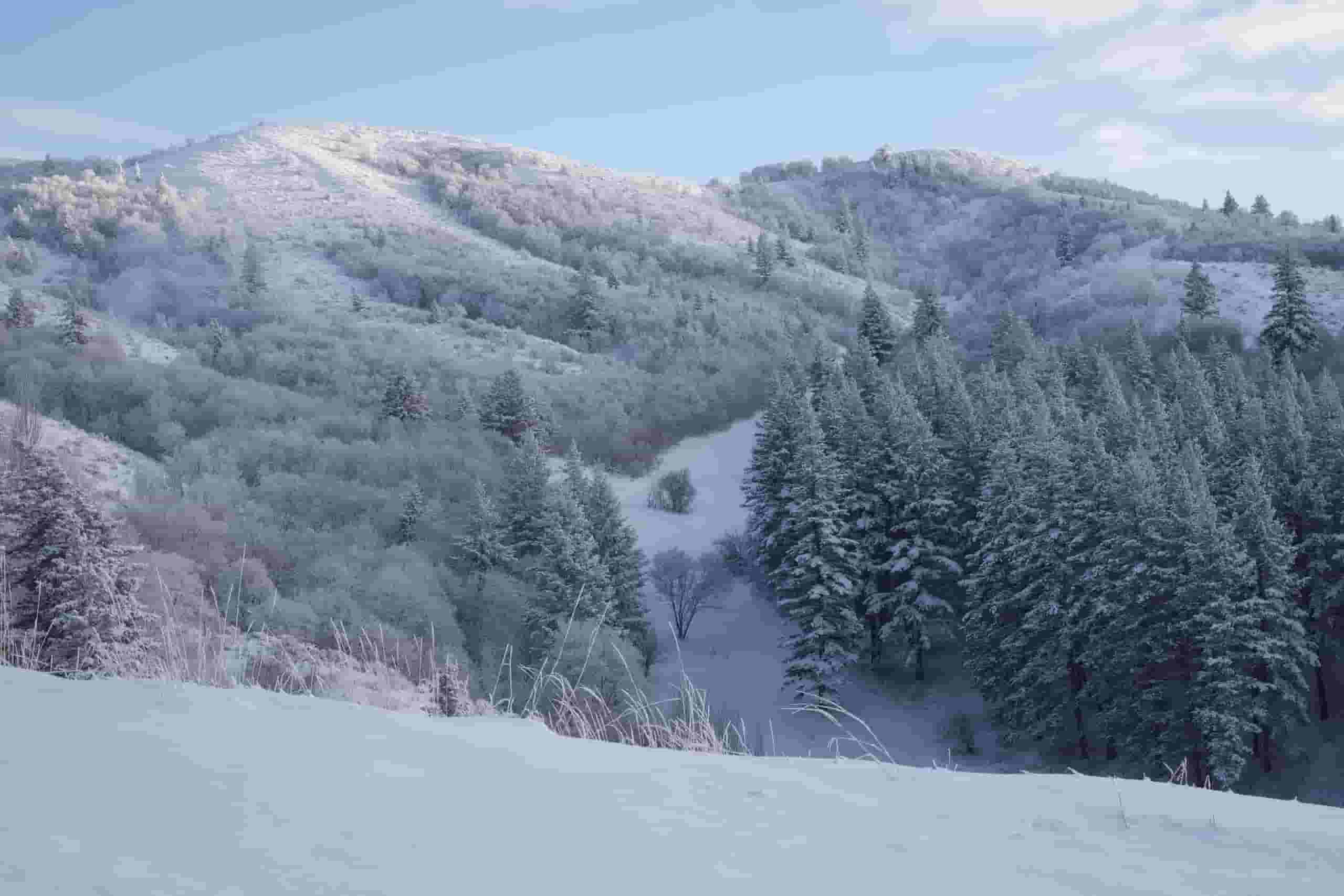 저렴한 to Pocatello 항공권 검색