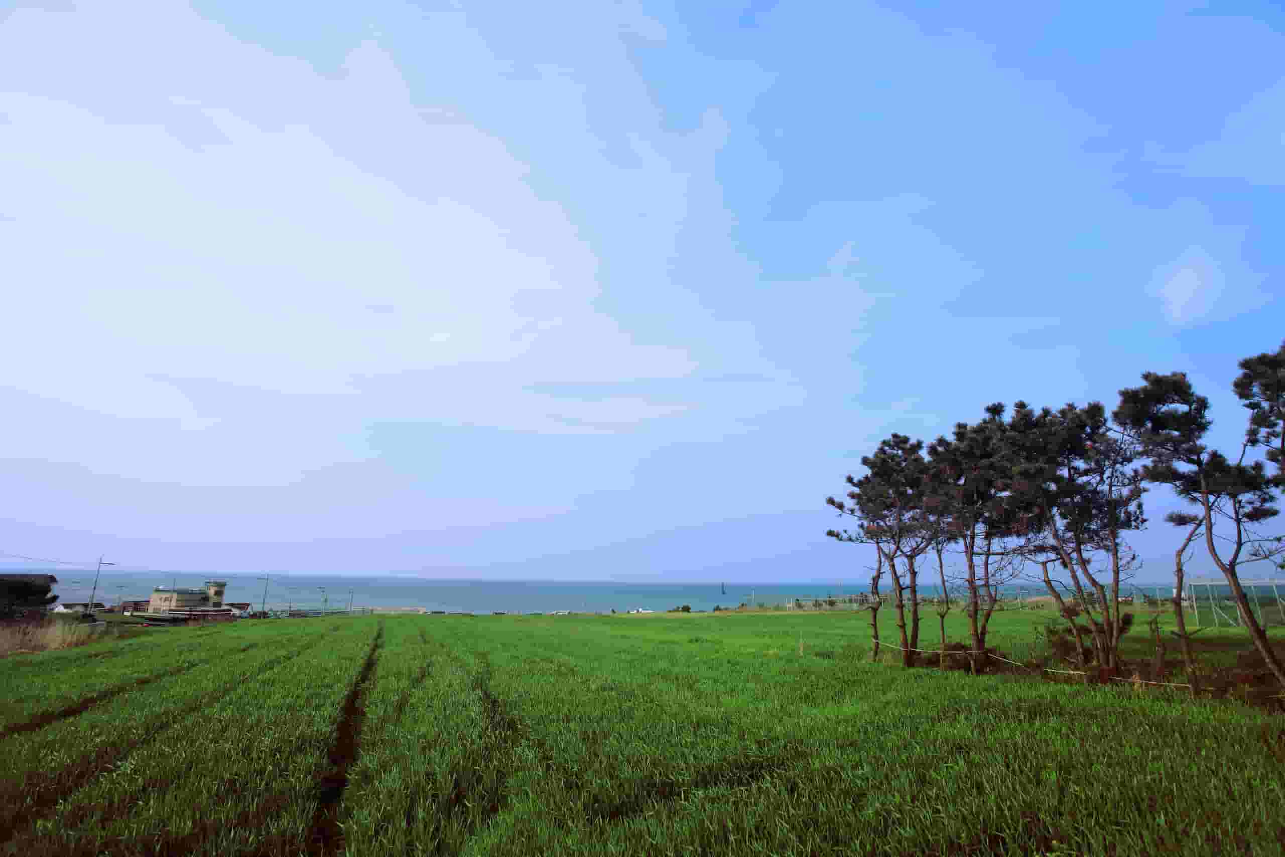 Etsi halpoja lentoja to Pohang