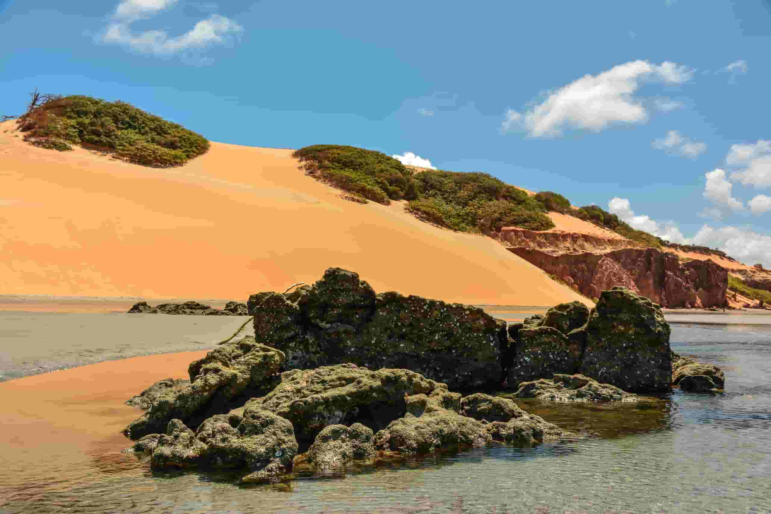 Pronađite jeftine letove to Ponta Grossa