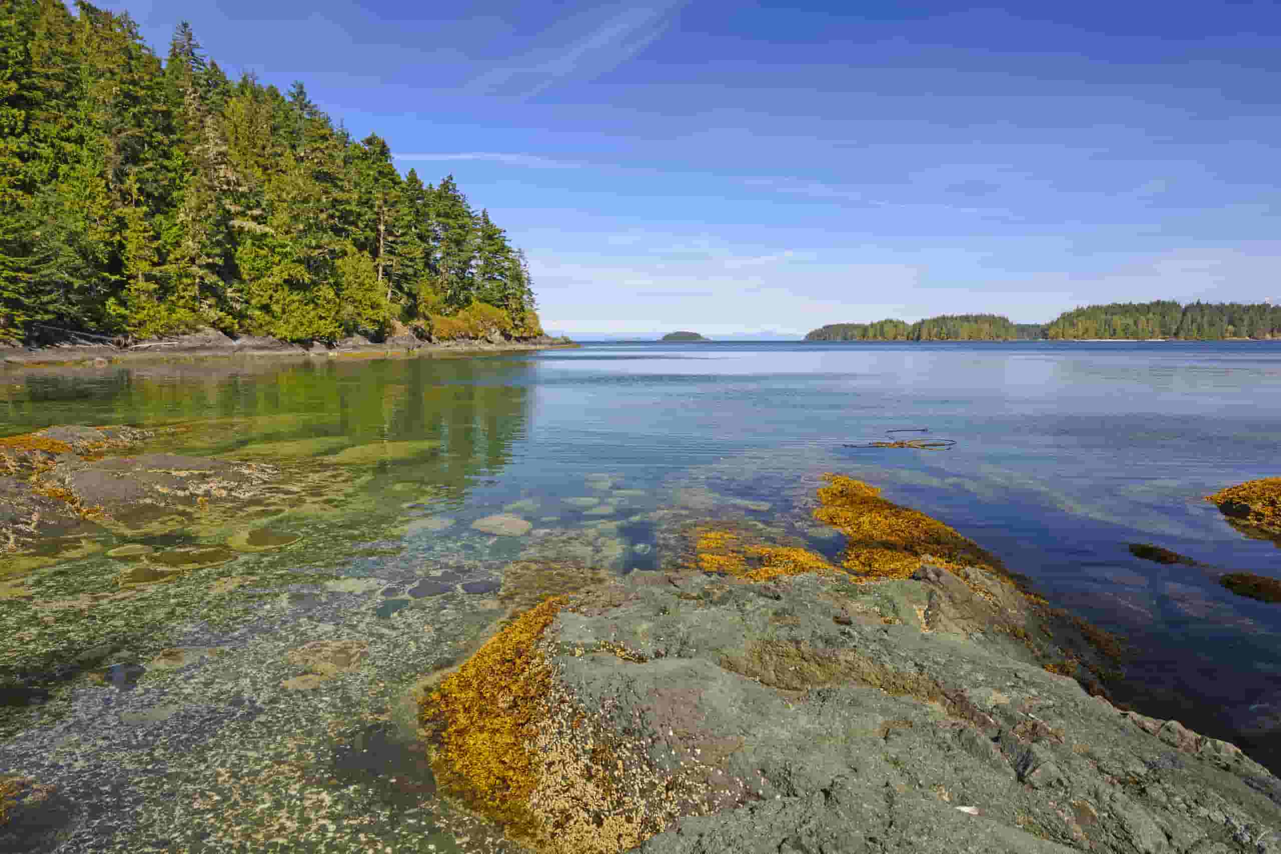 Find cheap flights to Port Hardy