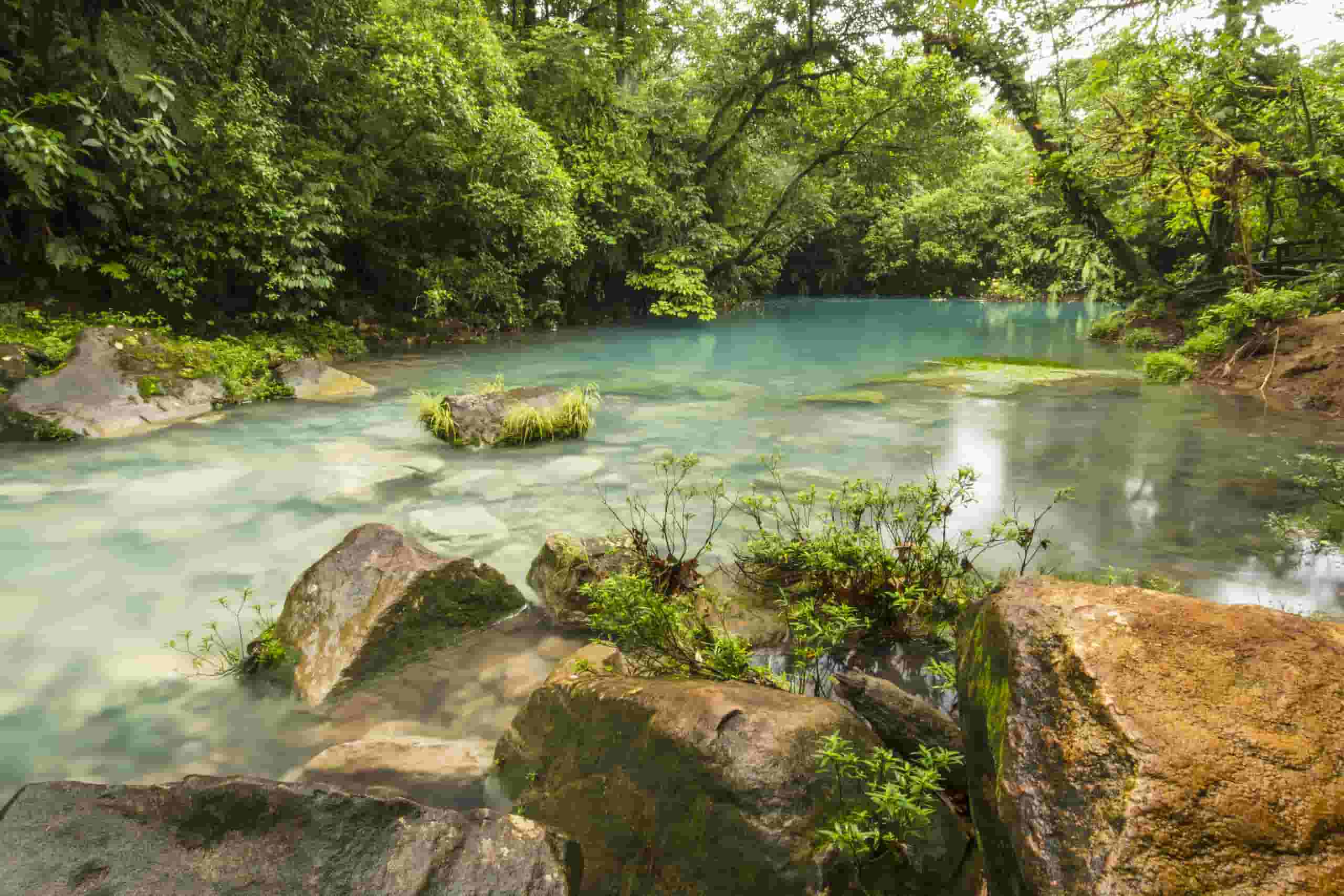 Trova voli economici to Poza Rica