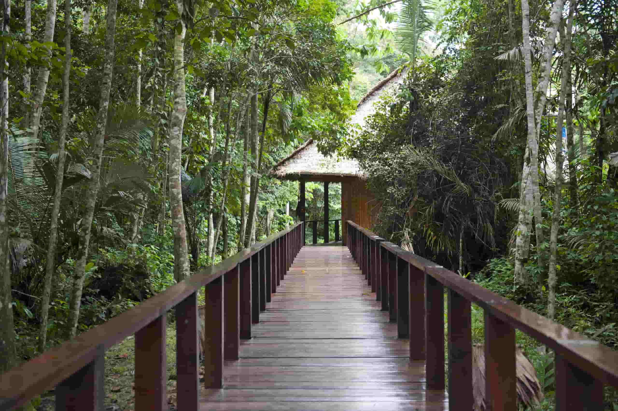 Find billige flybilletter to Puerto Maldonado