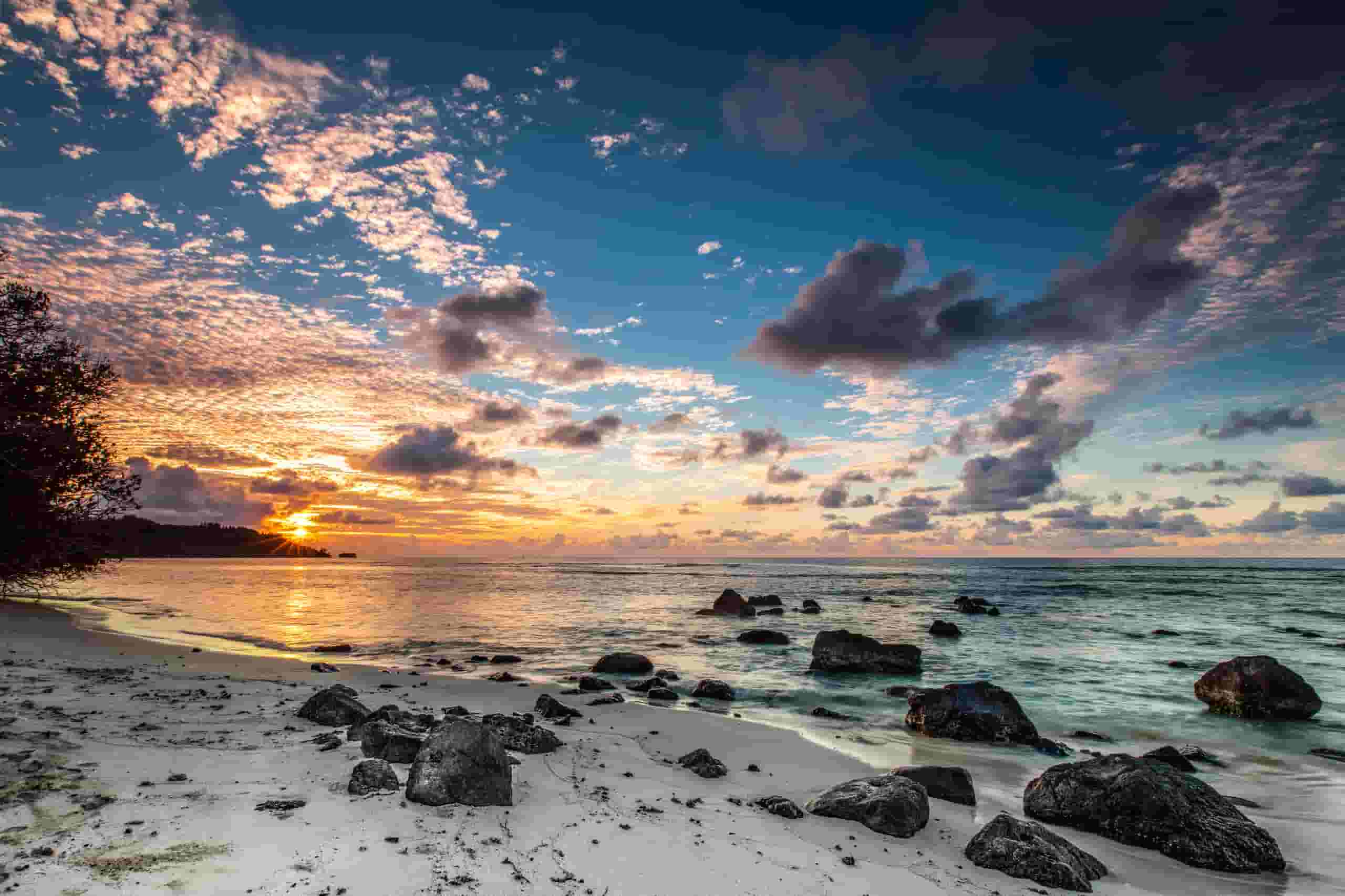 Trova voli economici per Raivavae