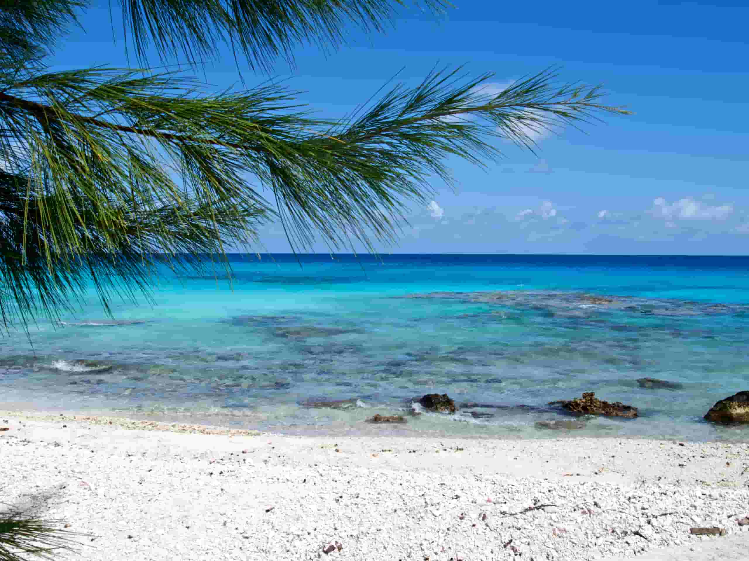 Find cheap flights to Rangiroa