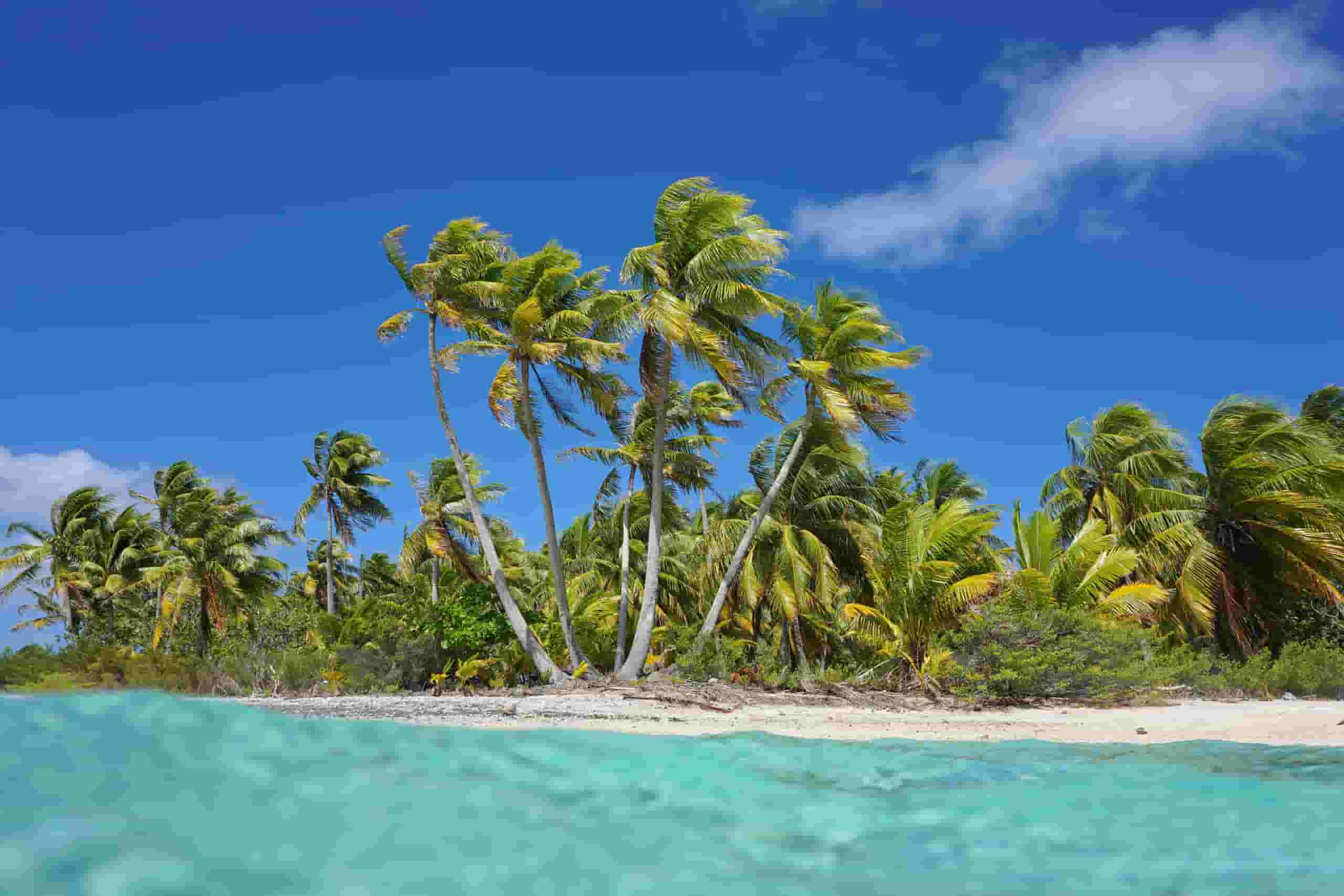 Rimatara – wyszukaj tanie loty